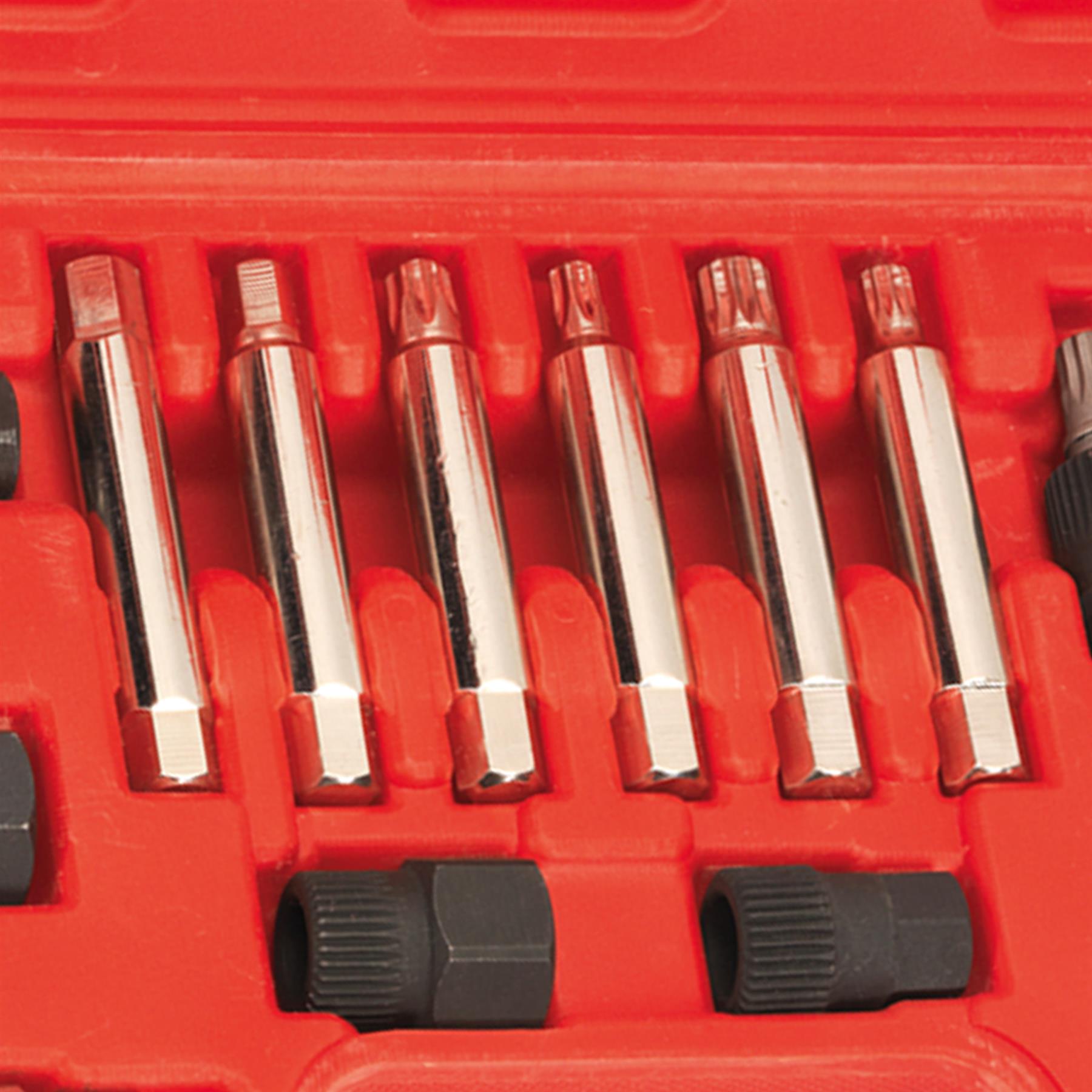 Sealey Alternator Freewheel Removal Set 13pc