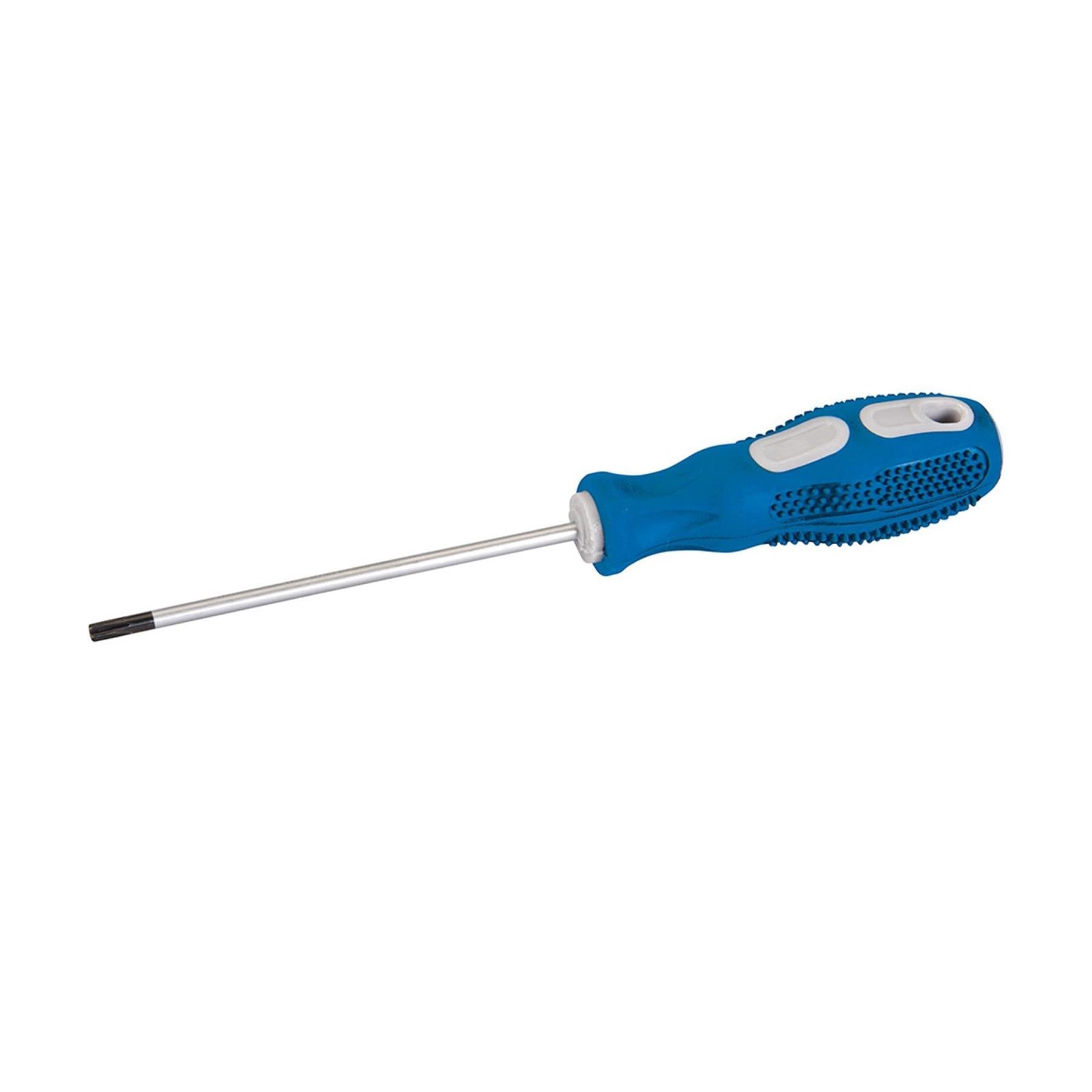 General Purpose Screwdriver Torx - T20 X 100mm Chrome Vanadium Tempered Blade