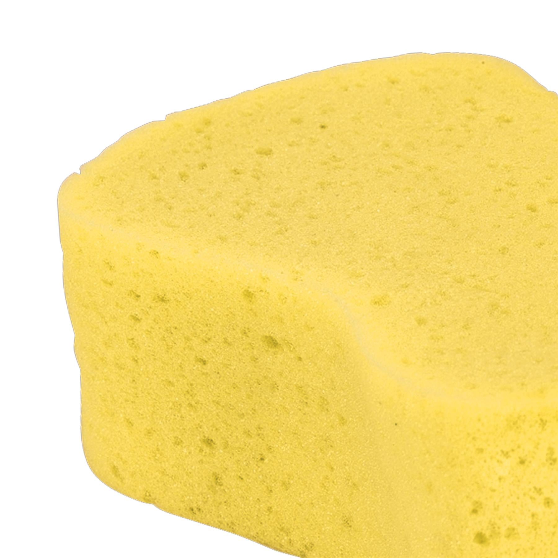 Sealey Large Compressed Sponge Cleaning Aids Car Cleaning