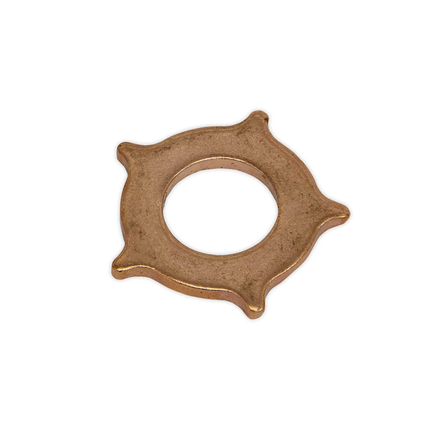 Sealey Star Washer For Model No. SR2000 Pack of 10