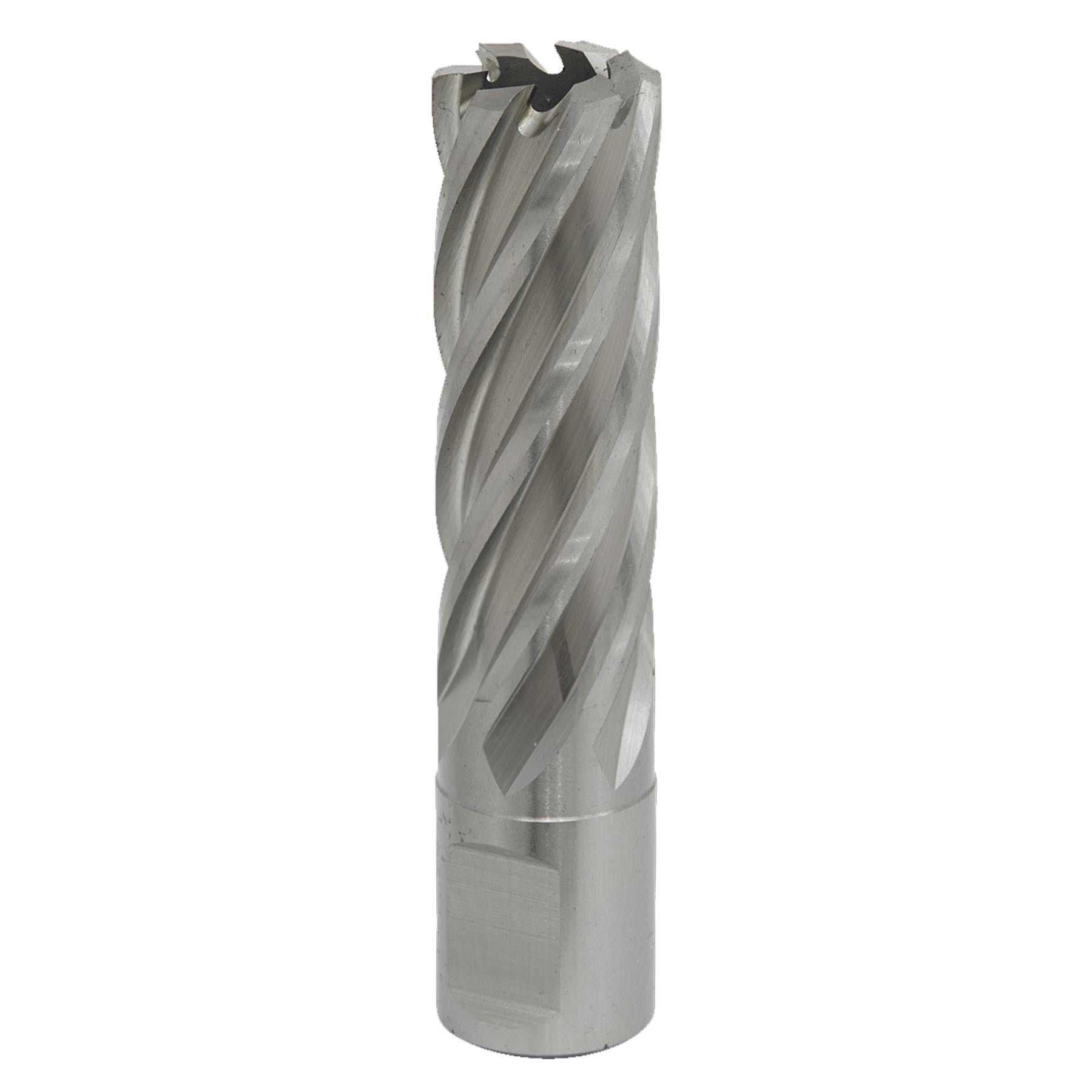 Sealey Rotabor Cutter HSS 19mm - Cut Depth 50mm