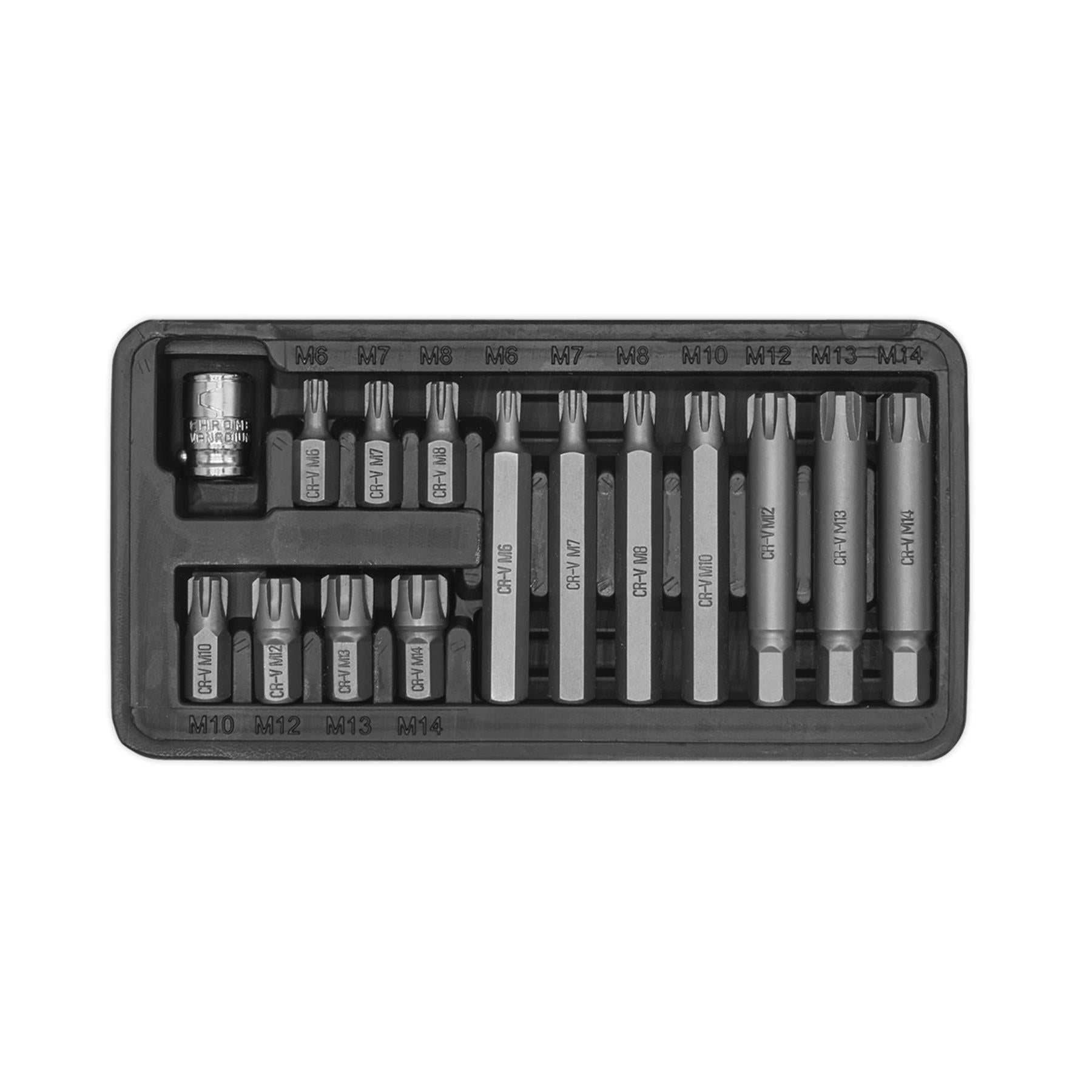 Sealey Ribe Bit & Holder Set 15pc - 3/8"Sq Drive