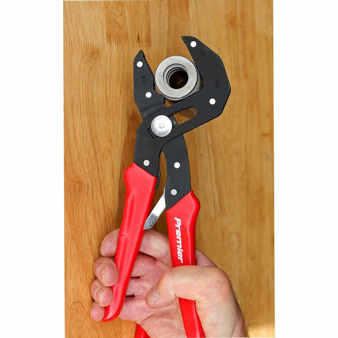 Sealey Pliers Multi-Grip Self-Adjusting 250mm