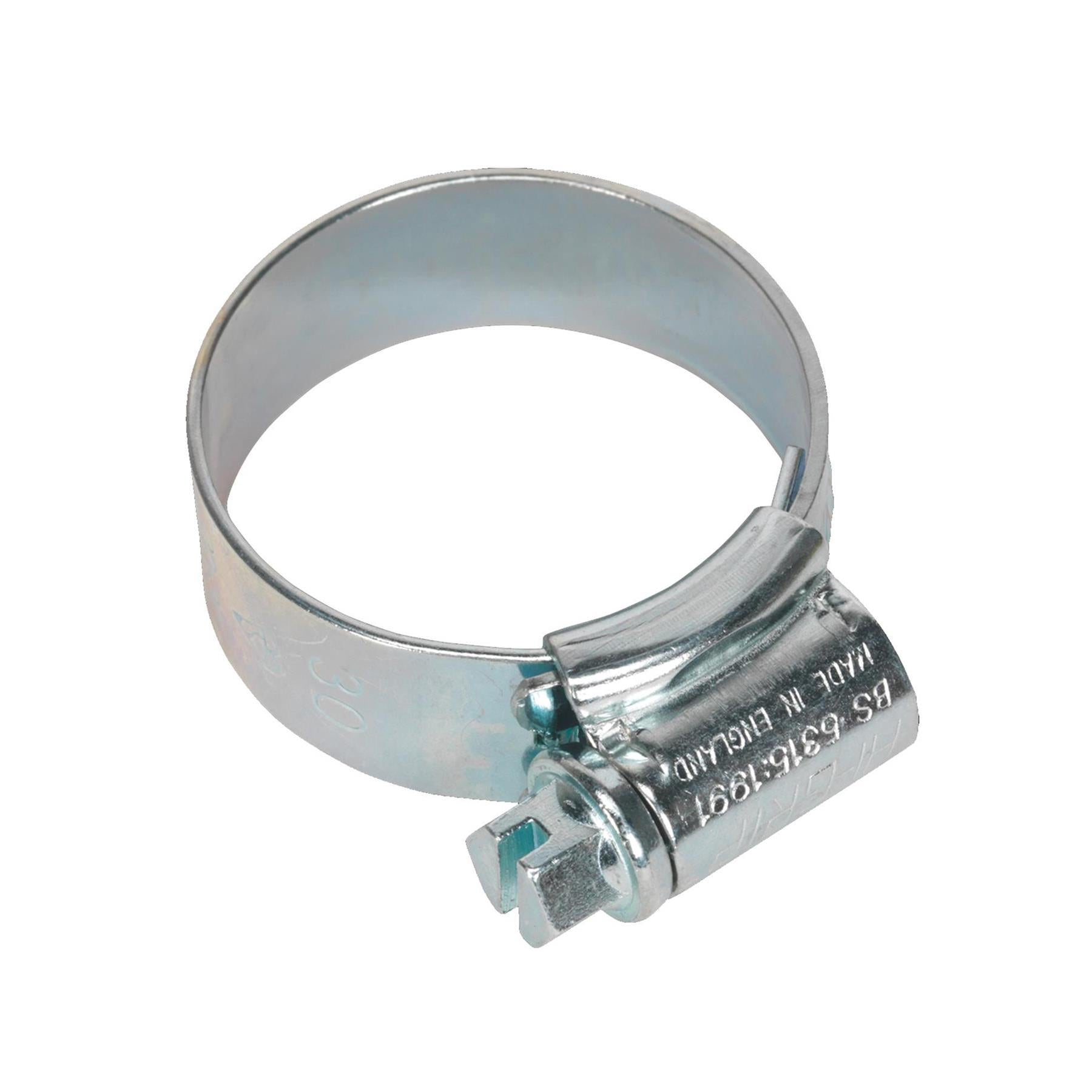 Sealey Hi-Grip Hose Clips Zinc Plated Ø22-30mm Pipe Clamps Worm Drive HCJ1A