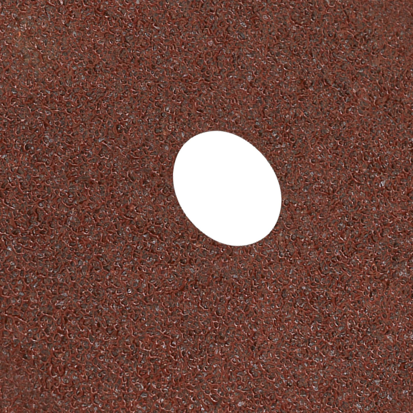 Sealey Fibre Backed Disc �100mm - 24Grit Pack of 25