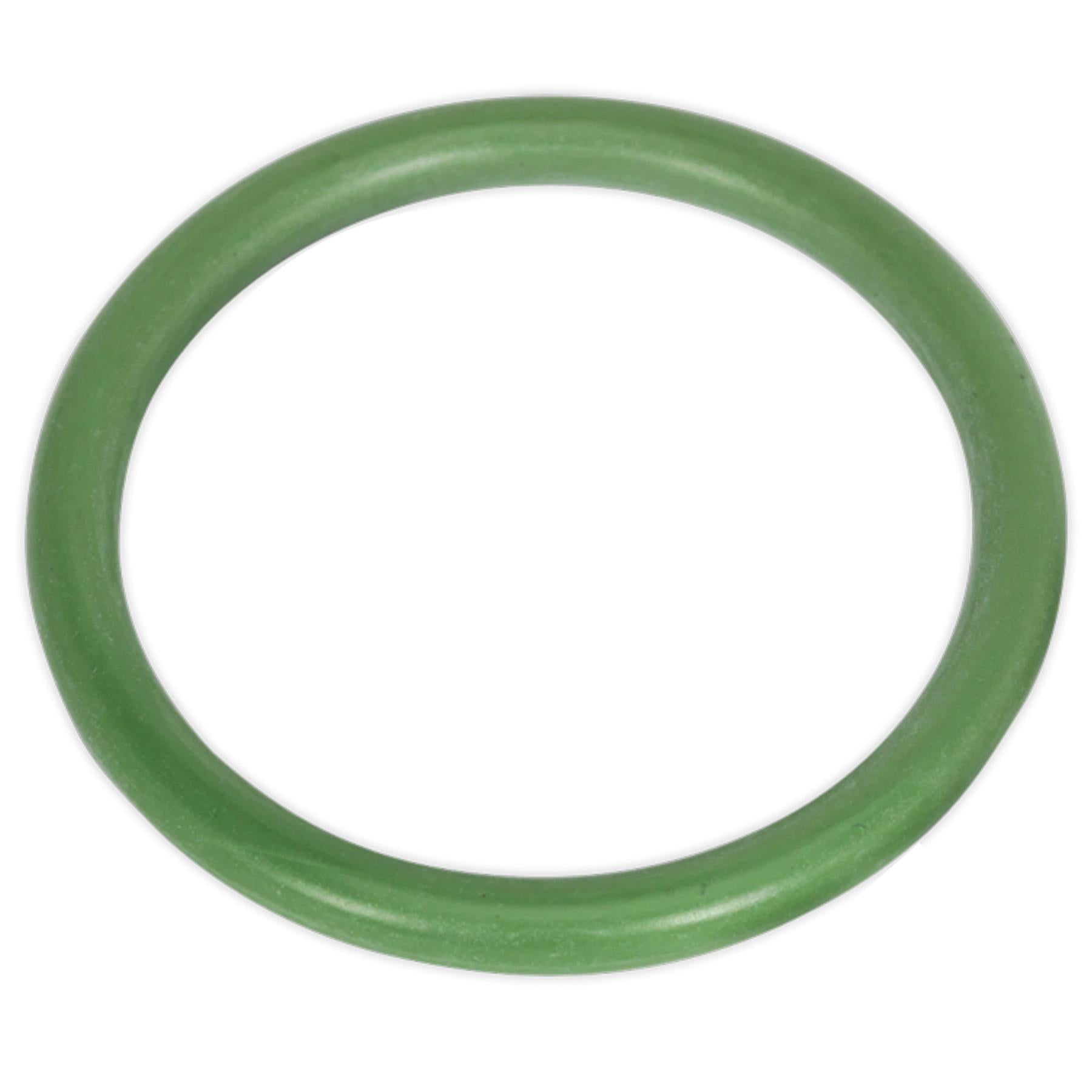 Sealey Viton Seal Kit for SCSG04 & SCSG05