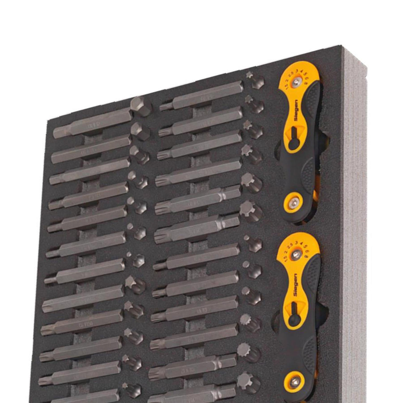 Sealey Tool Tray with Specialised Bits & Folding Hex Keys 192pc