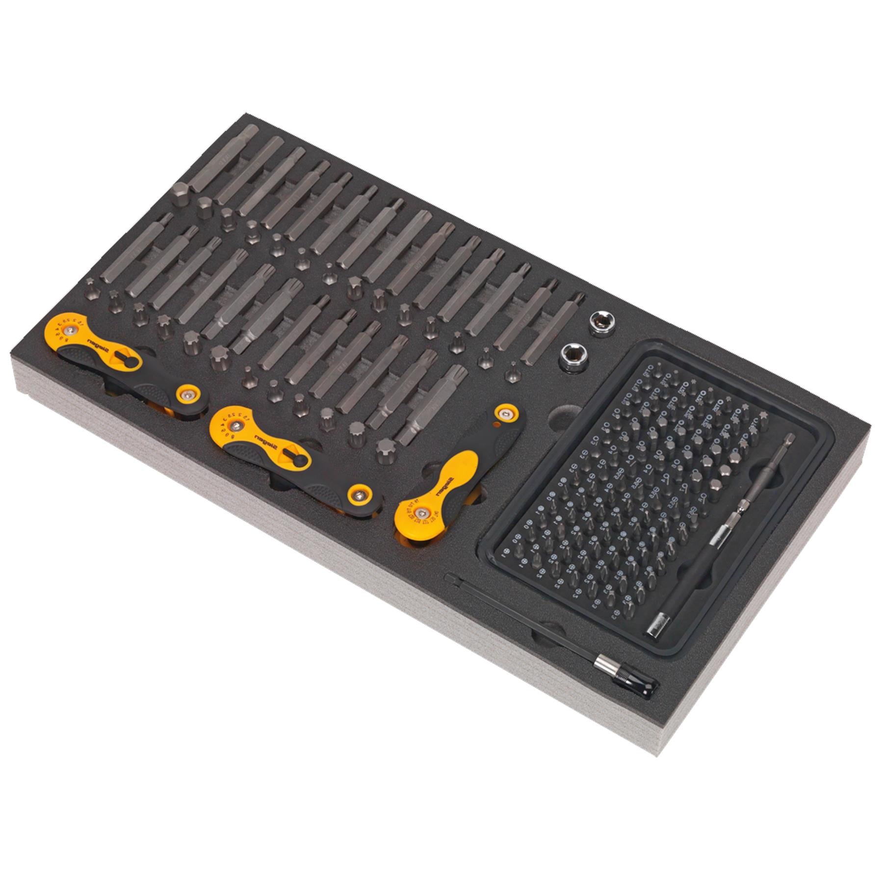 Sealey Tool Tray with Specialised Bits & Folding Hex Keys 192pc