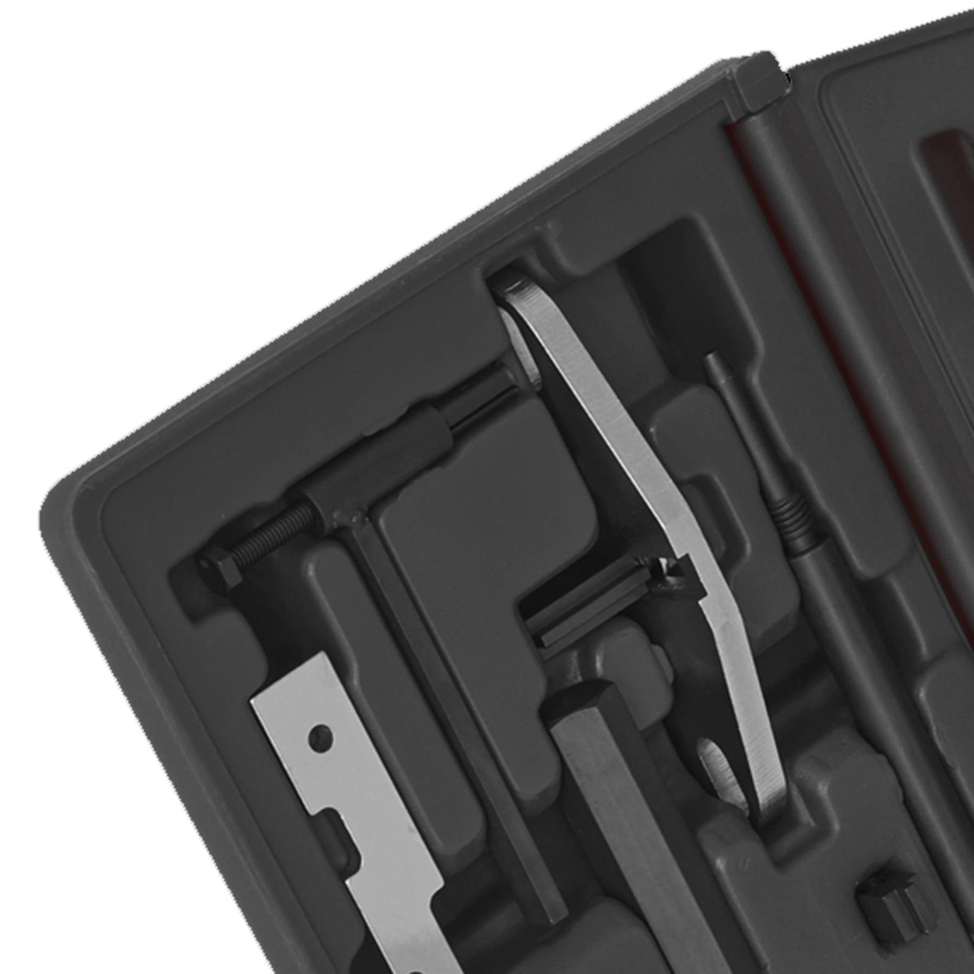 Die Eng S/L Kit & Timing Chain R&I Kit-Ford-Belt/Chain Drive. Sealey