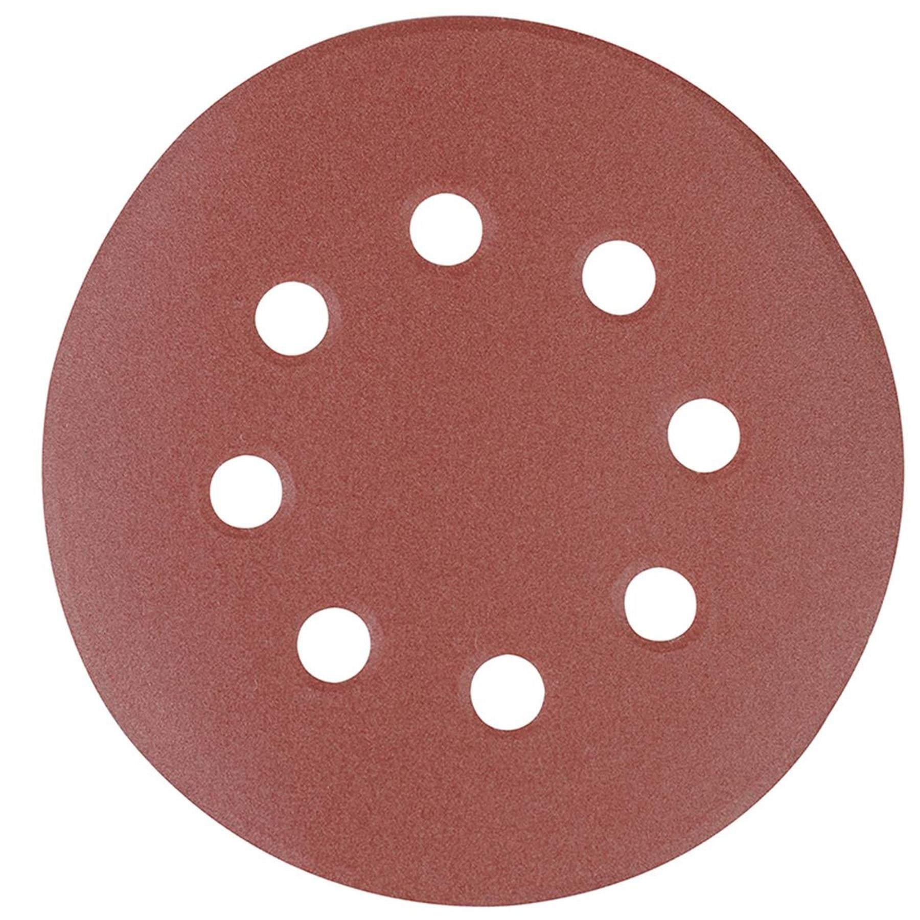 Punched Sanding Discs 125mm 10Pk Grit 40 Hook & Loop Aluminium Oxide DIY