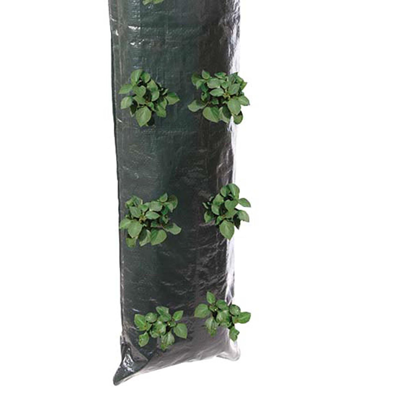2pk Hanging Growing Tube Planting Vegetable Flowers Bag Garden Sack 700x220mm