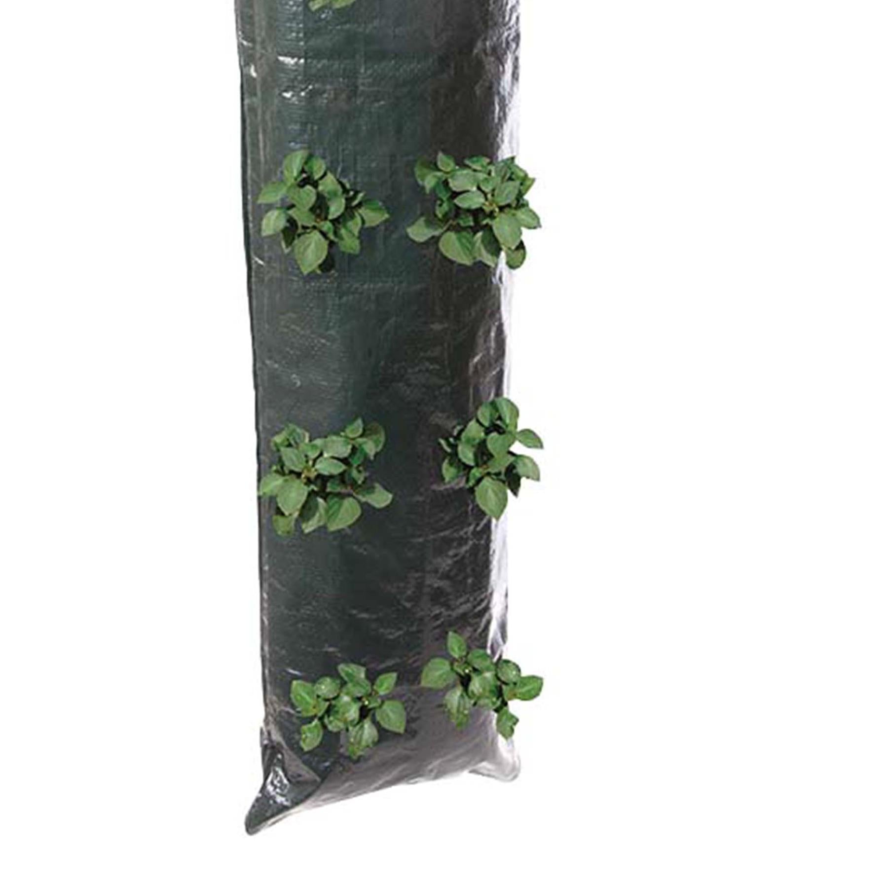 2pk Hanging Growing Tube Planting Vegetable Flowers Bag Garden Sack 700x220mm