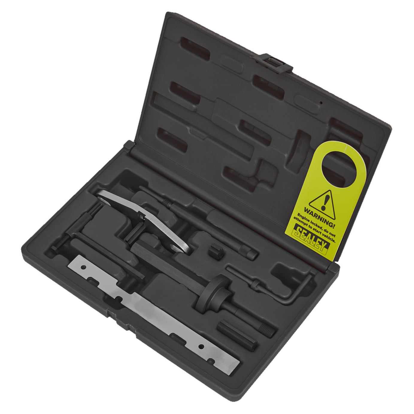 Die Eng S/L Kit & Timing Chain R&I Kit-Ford-Belt/Chain Drive. Sealey