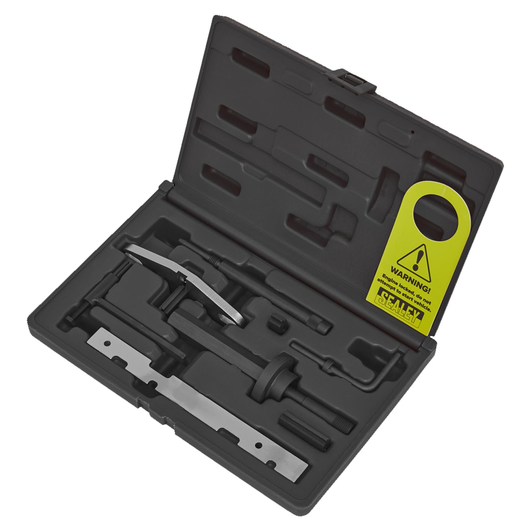 Die Eng S/L Kit & Timing Chain R&I Kit-Ford-Belt/Chain Drive. Sealey