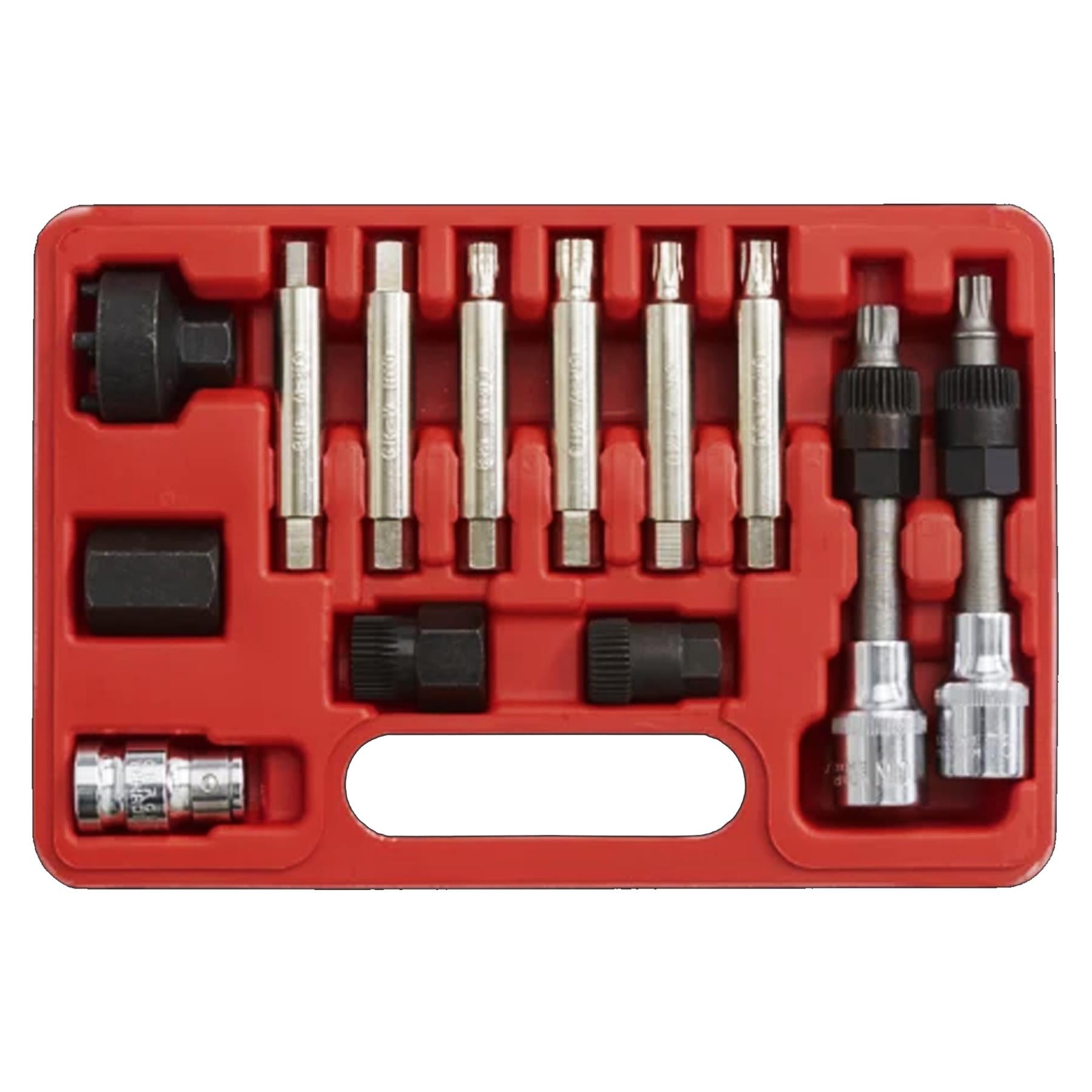 Sealey Alternator Freewheel Removal Set 13pc