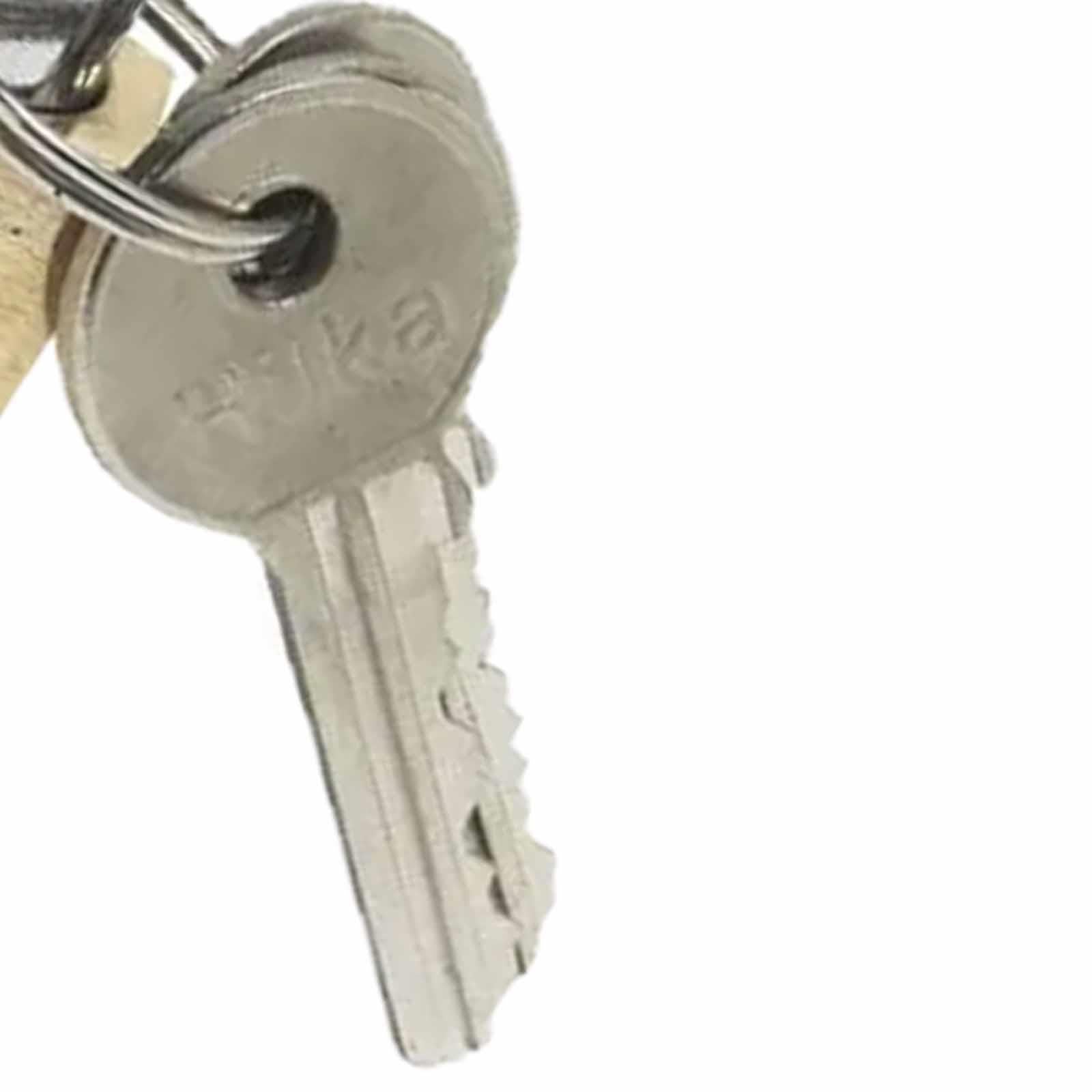 Heavy Duty Brass Padlock