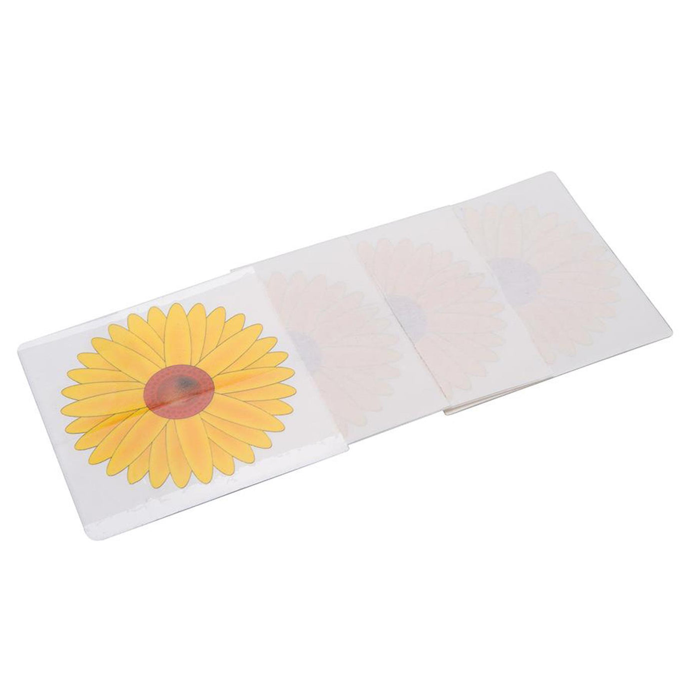 4pc Fly Traps Fly Killer