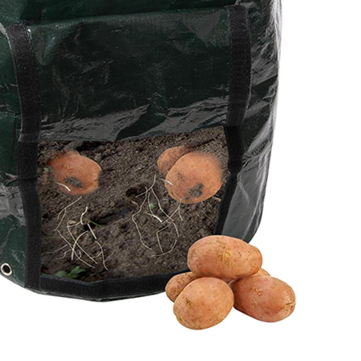 Potato Planting Bag - 360 X 510mm Tough, Woven Plastic Bag Planter New