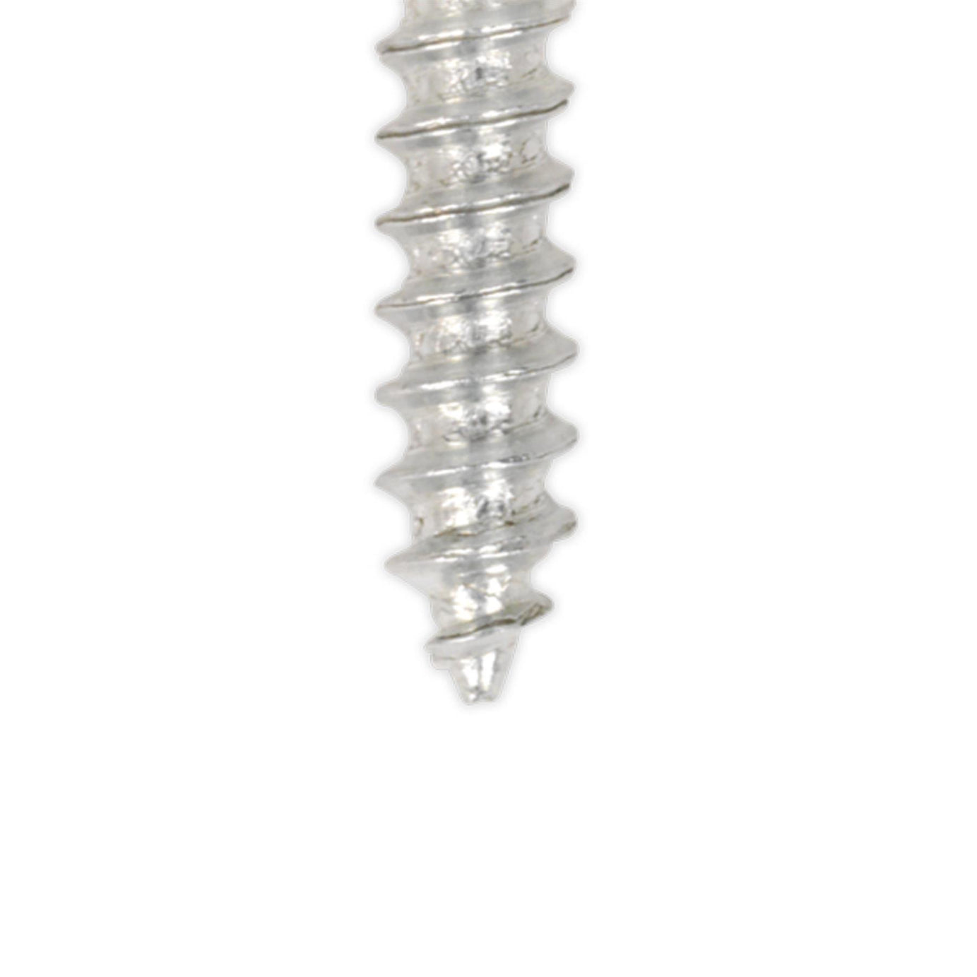 Sealey Numberplate Screw with Flip Cap 4.2 x 19mm White Pk of 50