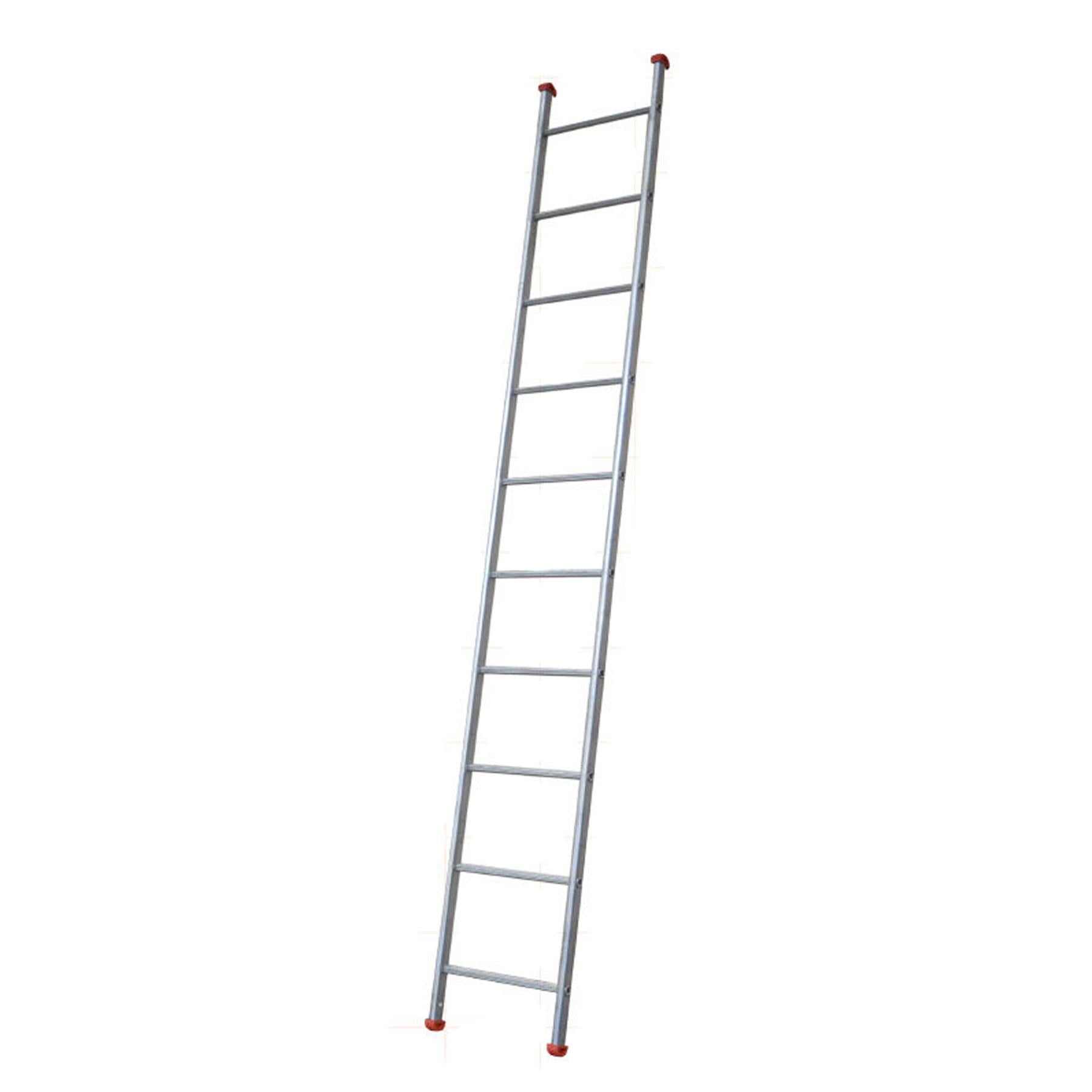 Dapetz Steel Single Section 10 Rung Ladder 3m