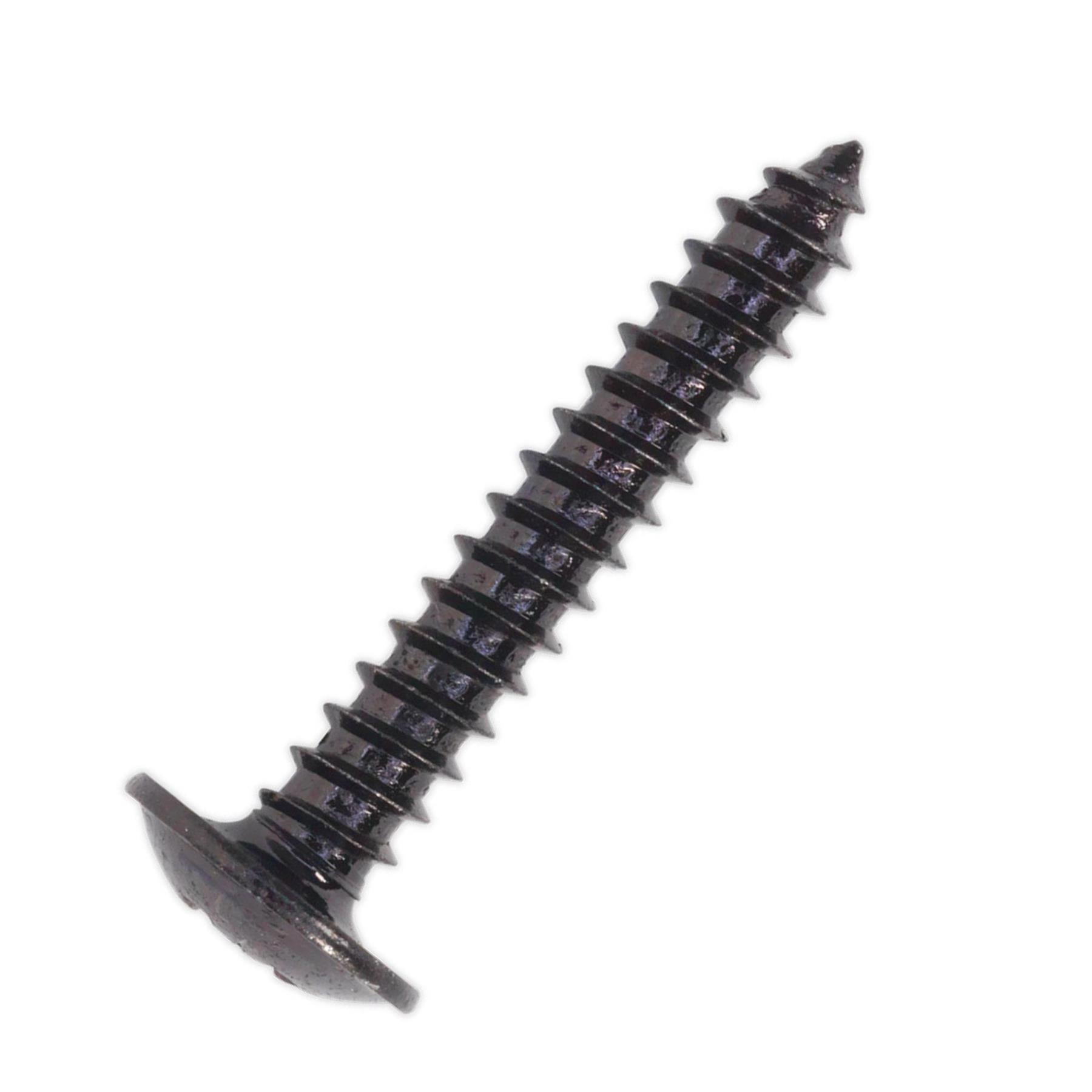Self Tapping Screw 4.2 x 25mm Flanged Head Black Pozi Pack of 100 Sealey