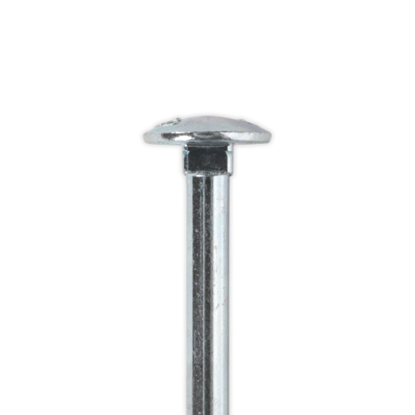 Sealey Coach Bolt & Nut DIN 603 M6 x 75mm Zinc Pack of 100