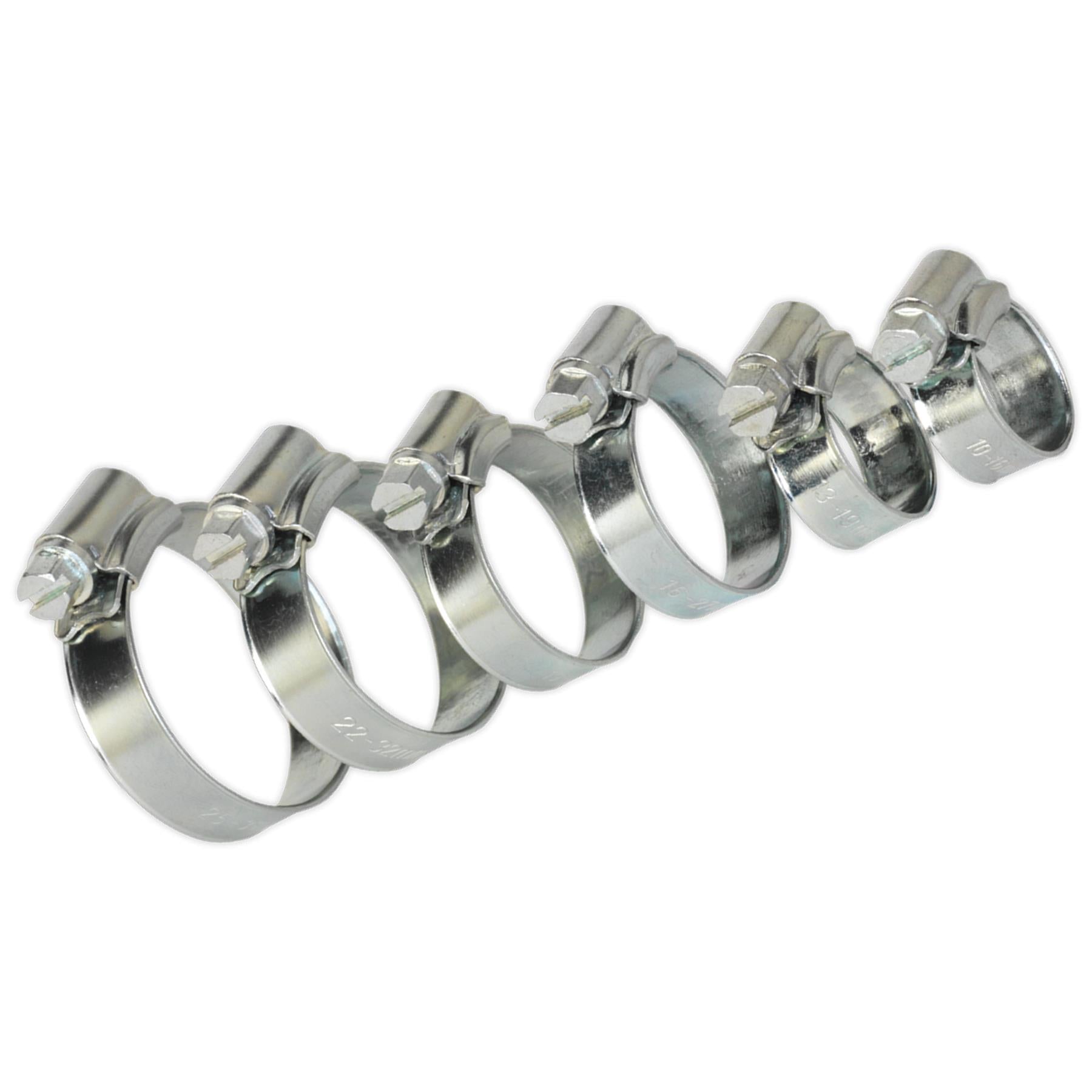 Sealey Hose Clip Assortment 30pc 8-29mm Zinc Plated