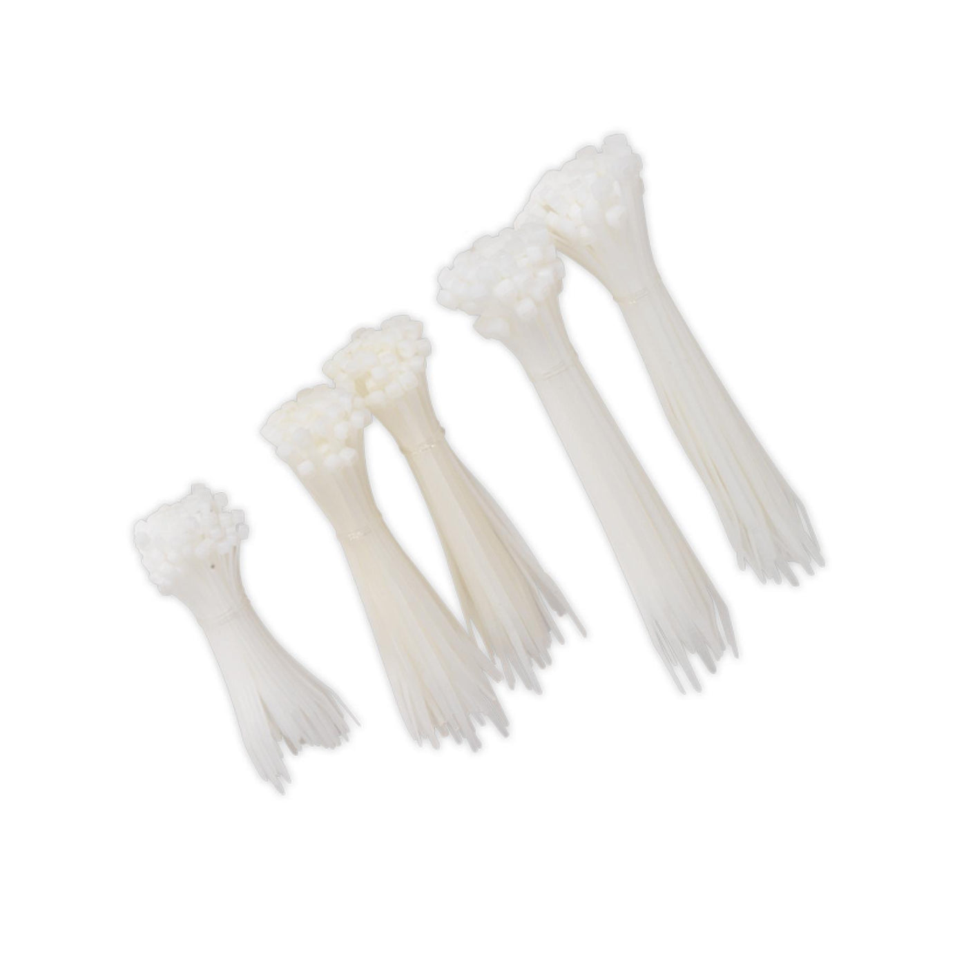 Sealey Cable Tie Assortment Black/White Pack of 600