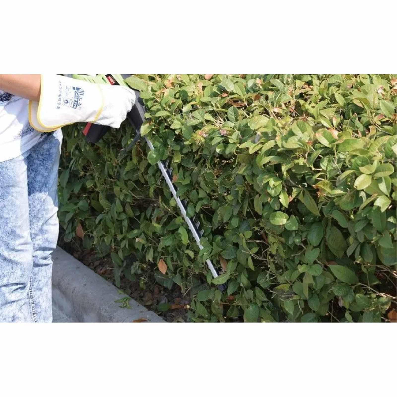 18V Cordless Hedge Trimmer 