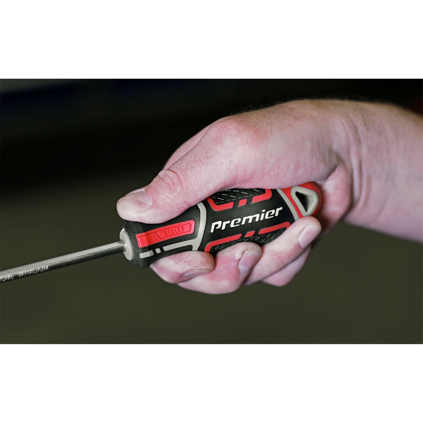 Sealey Screwdriver Phillips #2 x 100mm Plus Soft Grip Handle Magnetic GripMAX