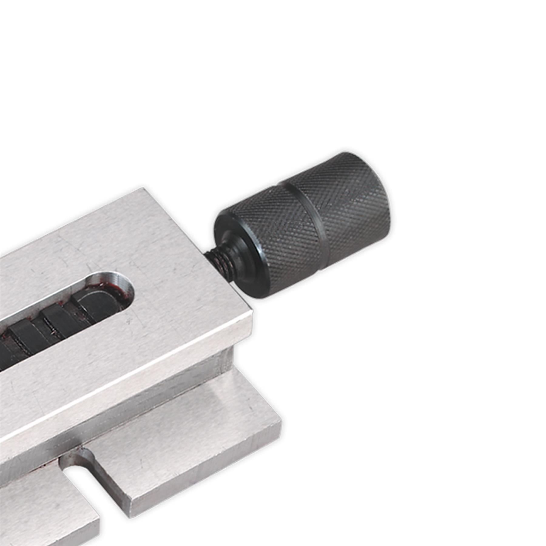 Sealey Quick Vice 100mm High Quality Accessories SM2502QV