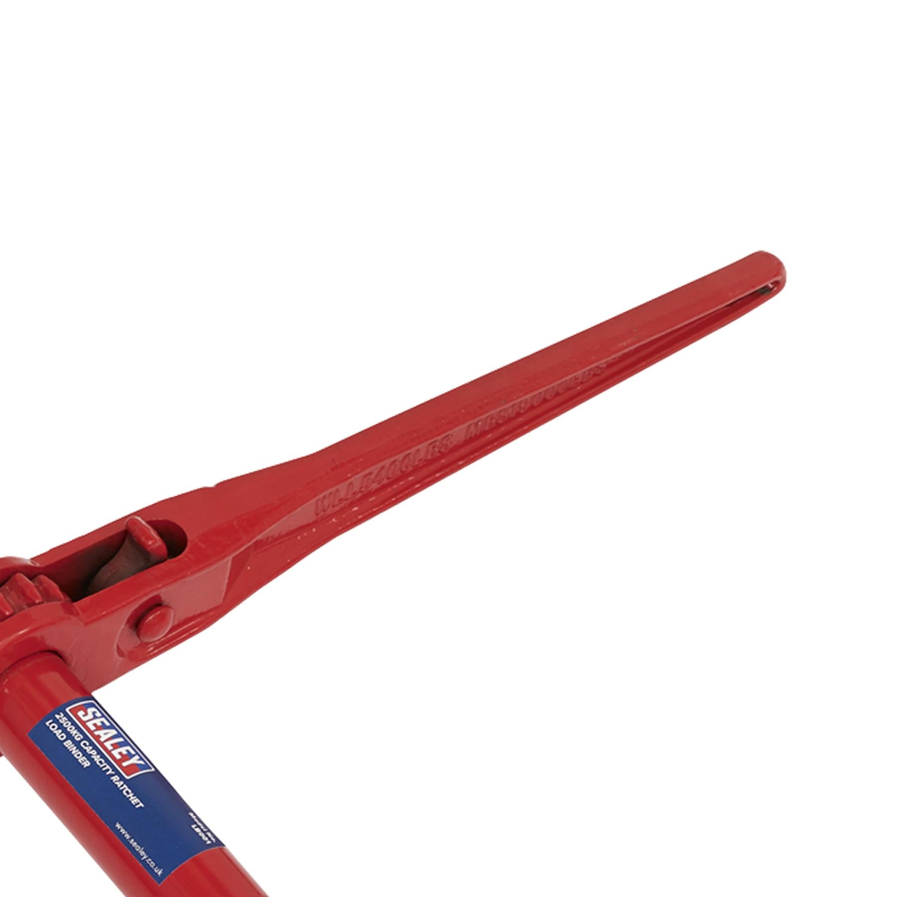Sealey Ratchet Load Binder 9.5-12.7mm 4200kg Capacity