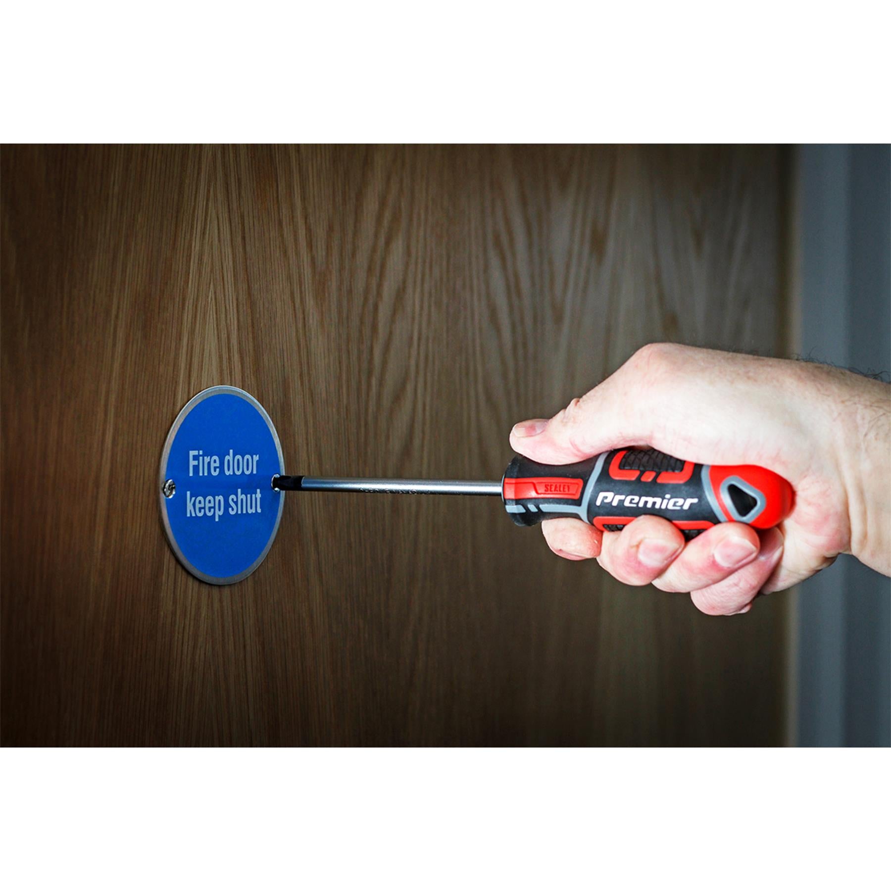 Sealey Screwdriver Phillips #2 x 100mm Plus Soft Grip Handle Magnetic GripMAX