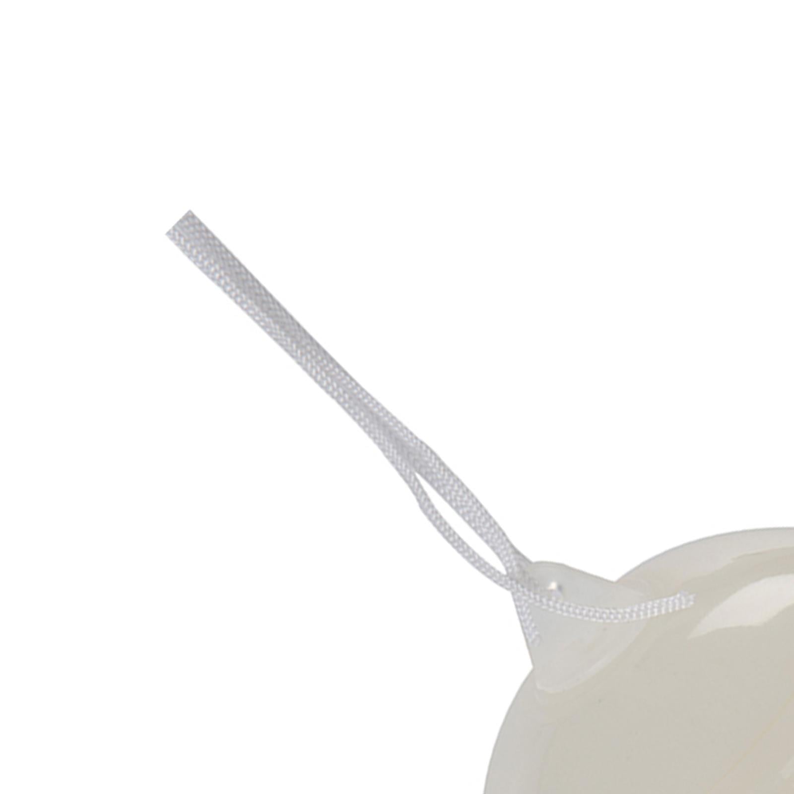 Wasp Trap 125 X 80 X 80mm Fast Efficient Pest Insect Control Repel New