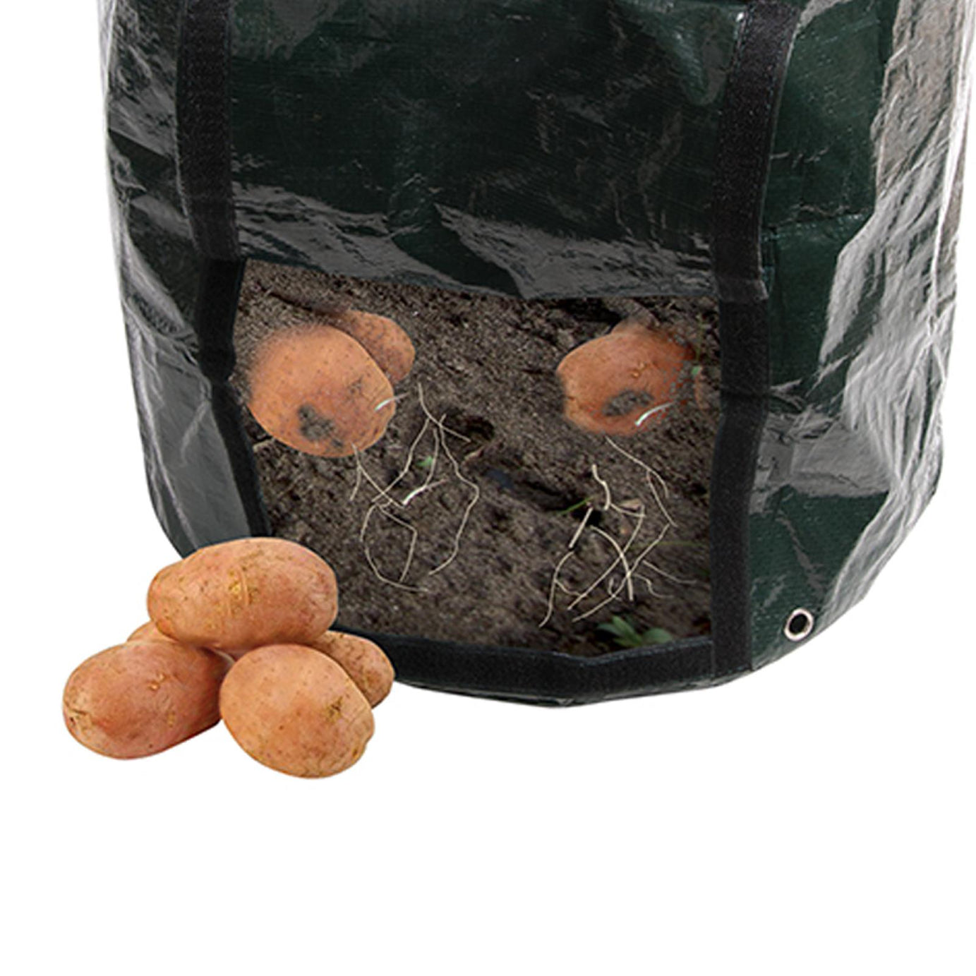 Potato Planting Bag - 360 X 510mm Tough, Woven Plastic Bag Planter New