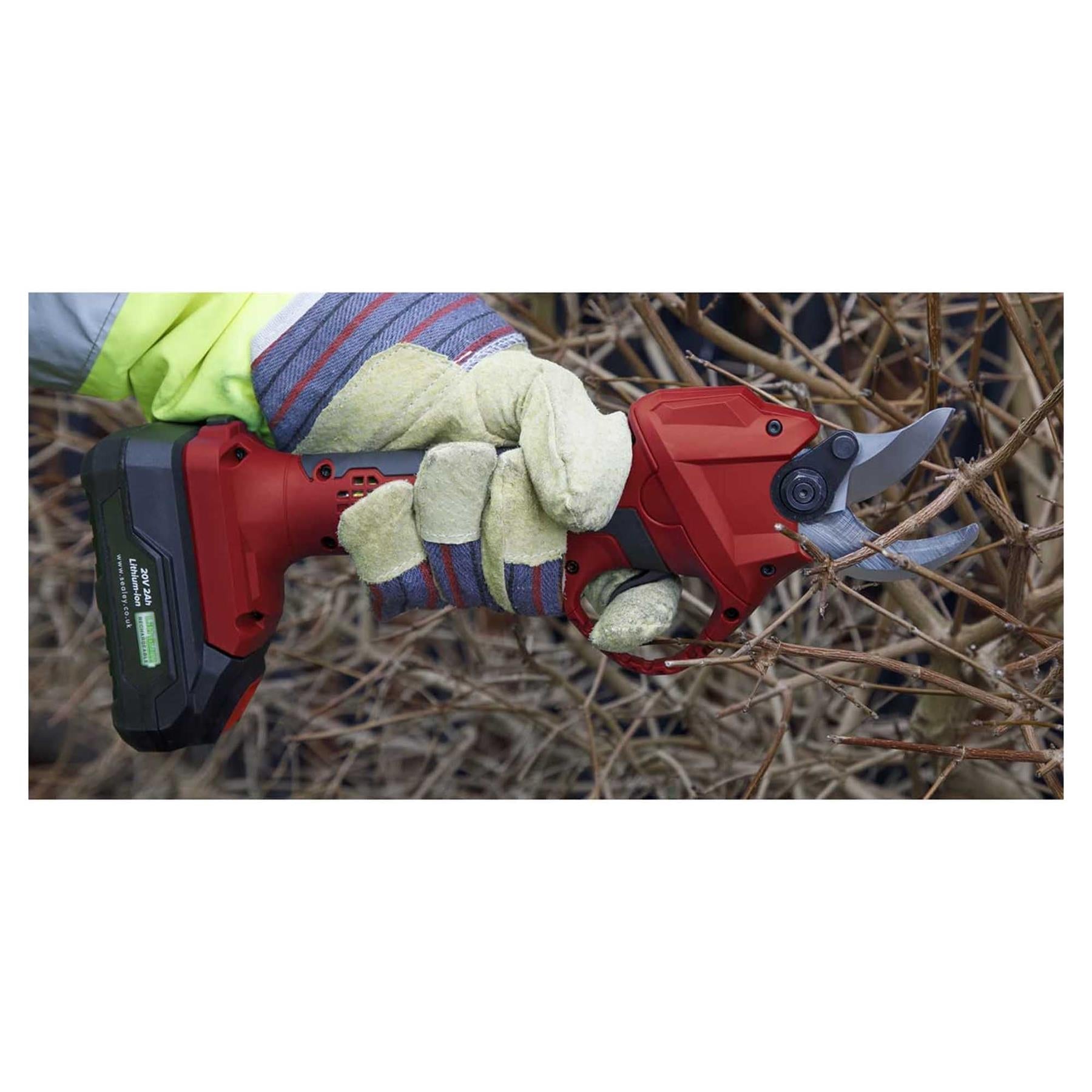 Sealey Cordless Pruning Shears Kit 20V 2Ah SV20 Series - 2 Batteries