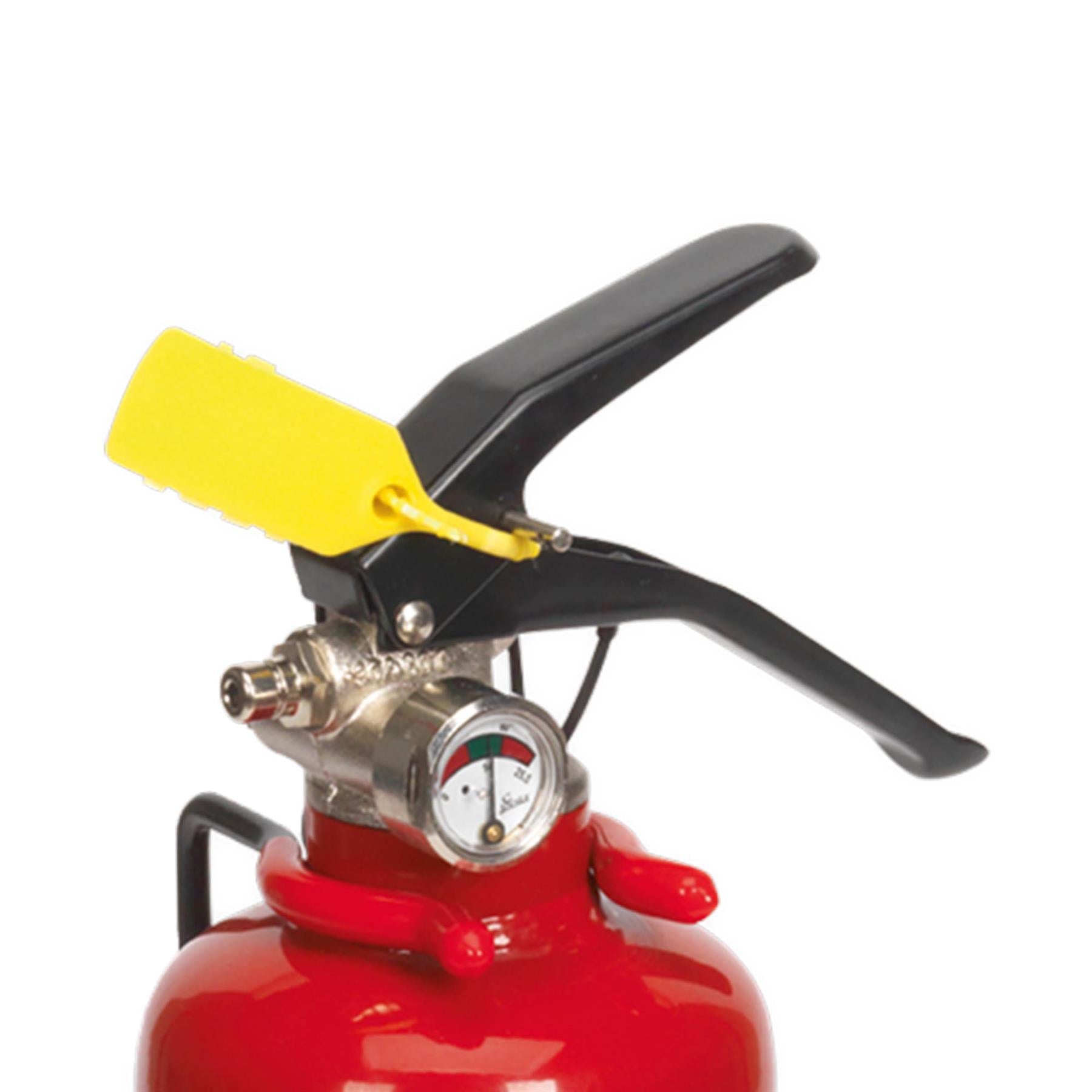 Sealey Fire Extinguisher 1kg Dry Powder