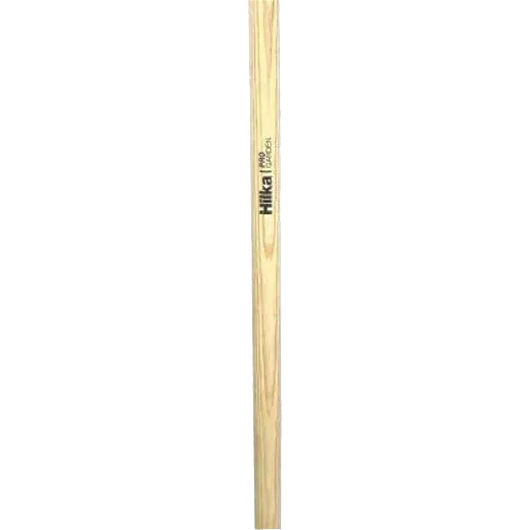 Heavy-Duty Carbon Steel 12 Tooth Rake