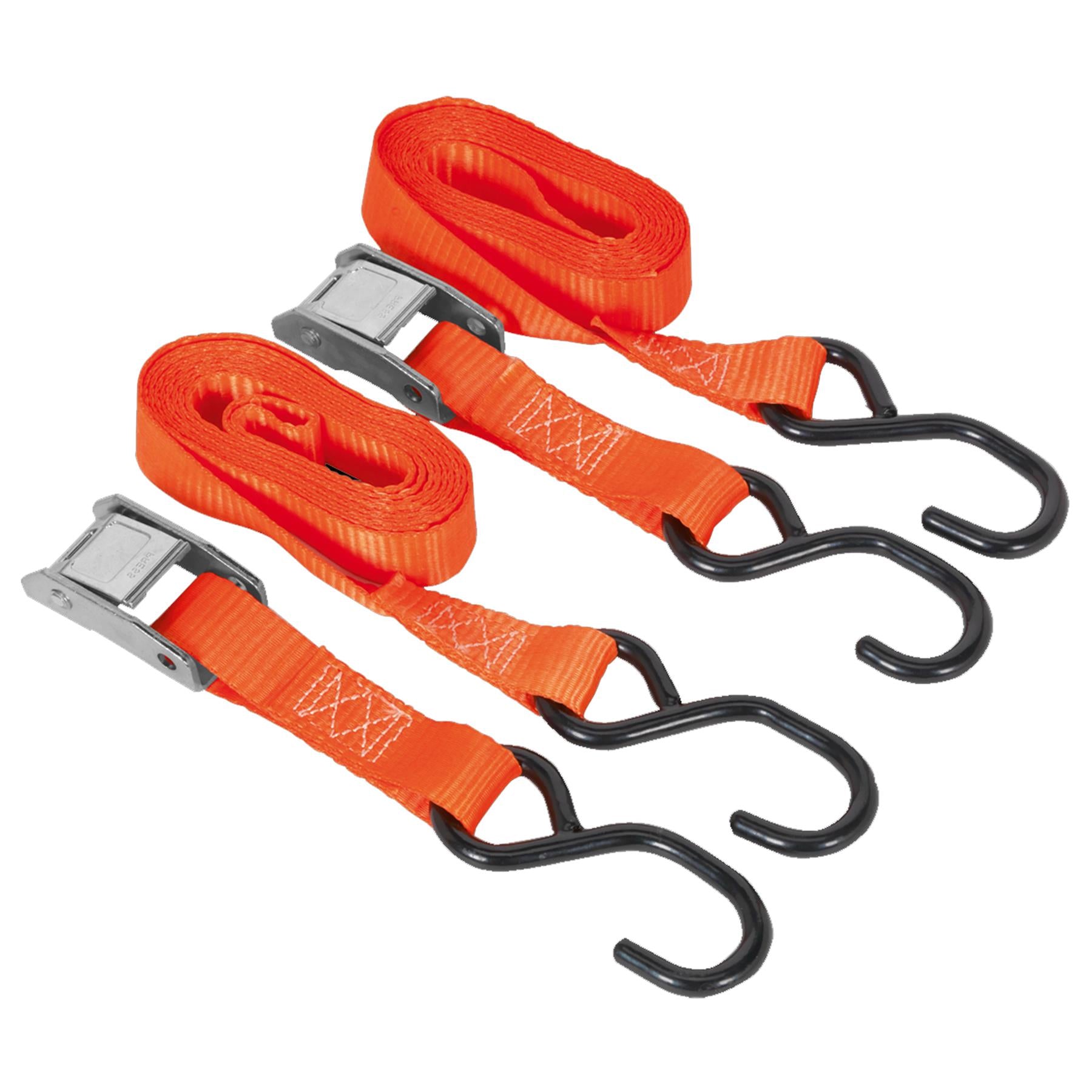 Sealey Cam Buckle Tie Down 25mm x 2.5m Poly Web 500kg Load Test