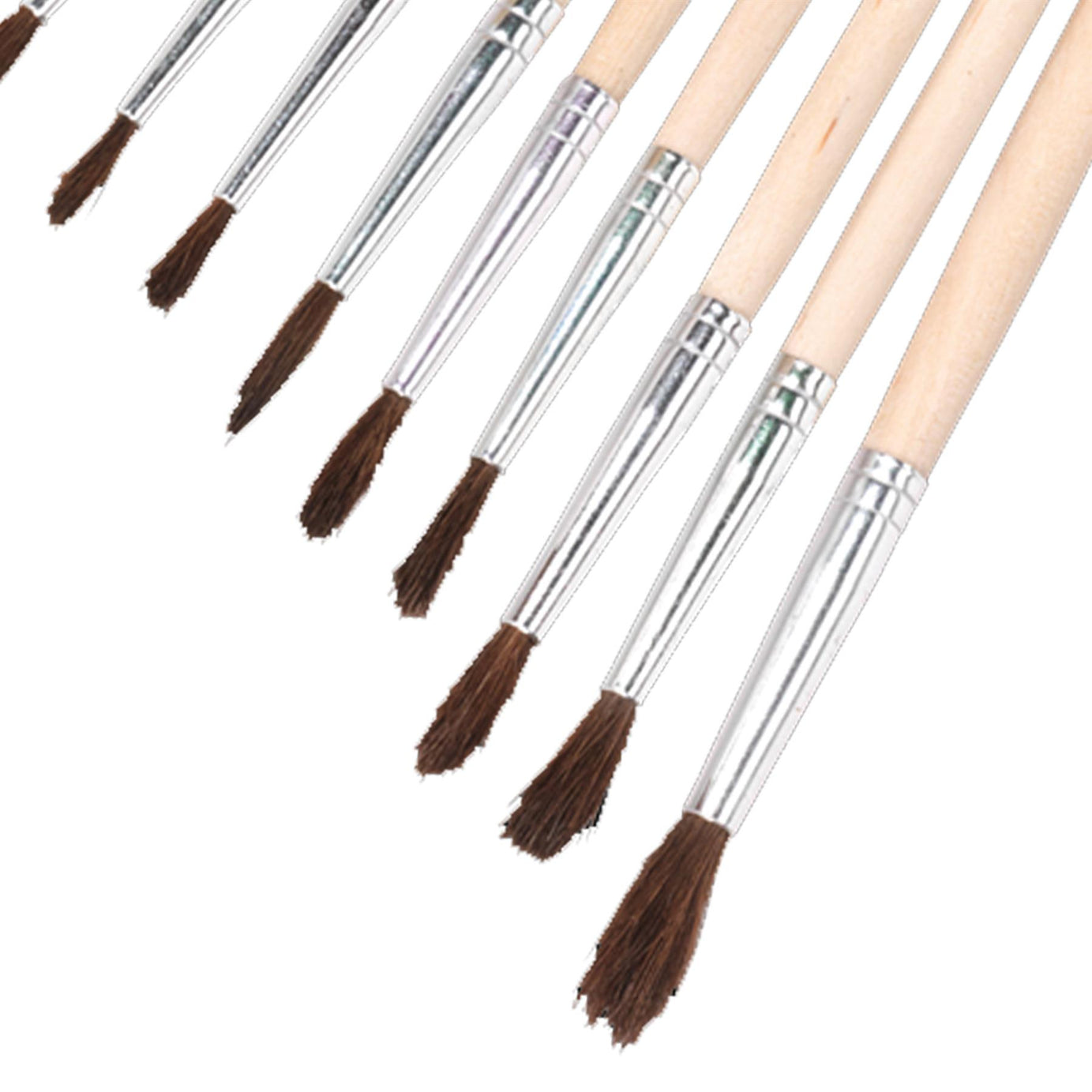 Sealey Touch-Up Paint Brush Assortment 10pc Wooden Handle