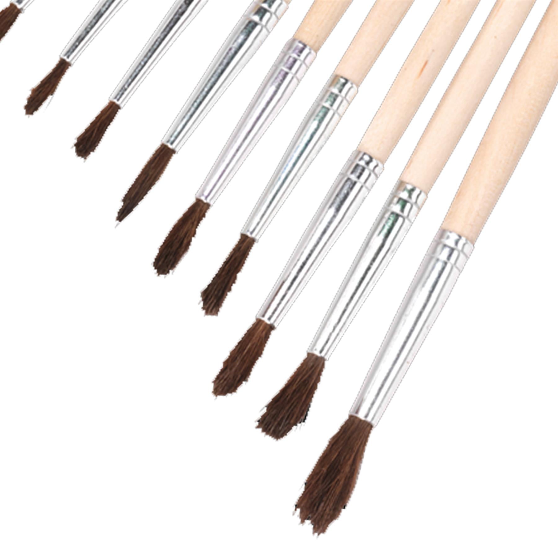 Sealey Touch-Up Paint Brush Assortment 10pc Wooden Handle