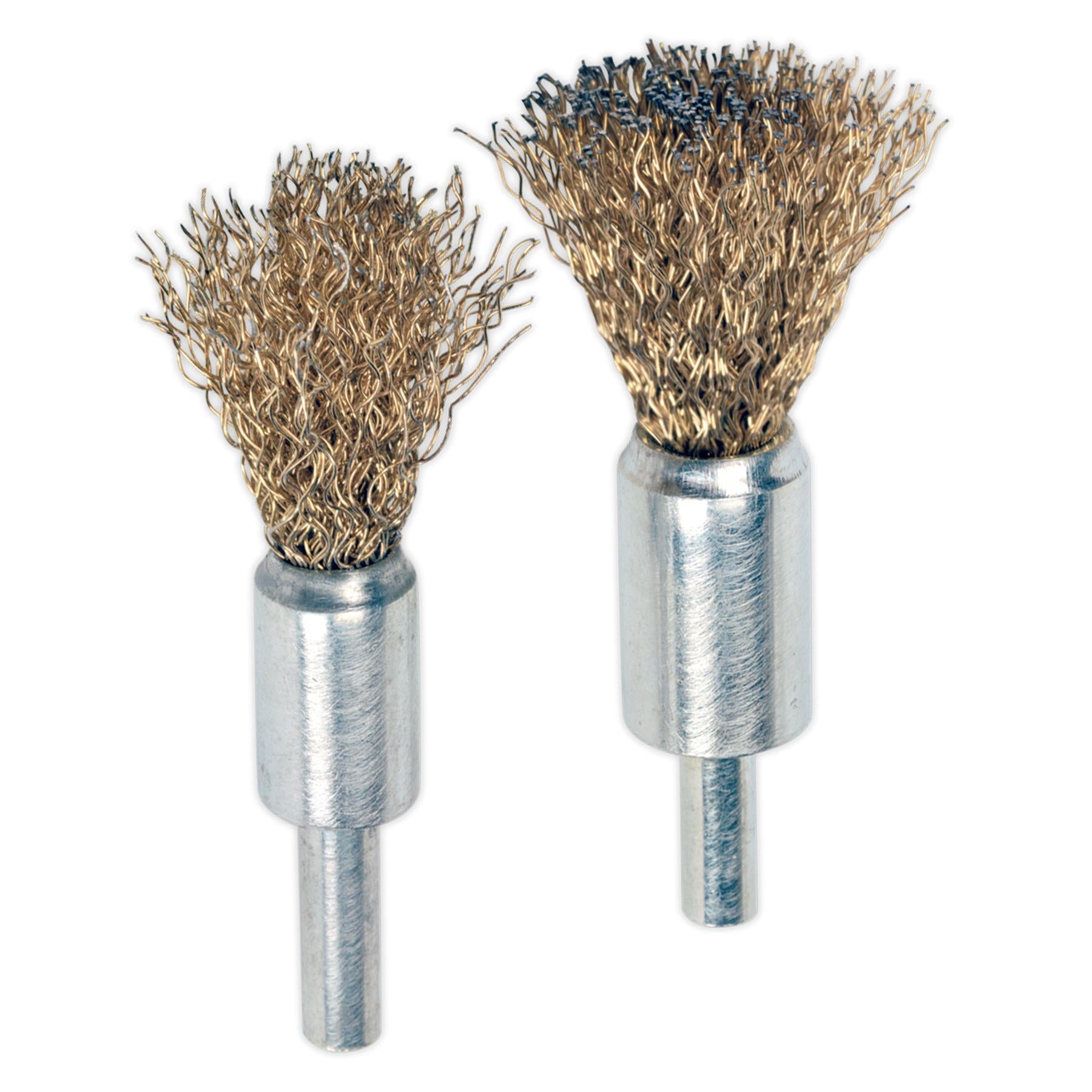 Sealey Decarbonising Brush Set 2pc Steel brushes