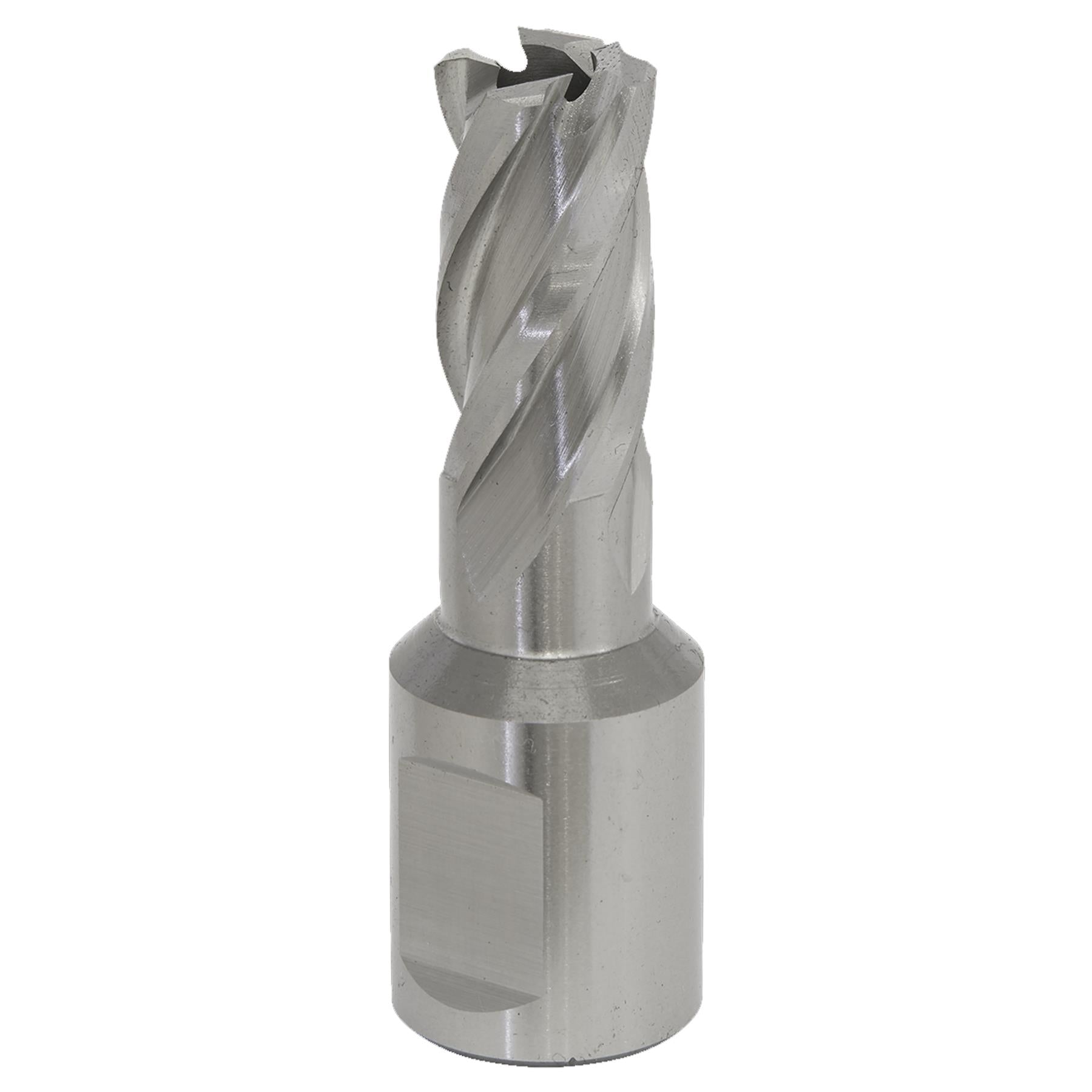 Sealey Rotabor Cutter HSS 14mm - Cut Depth 25mm