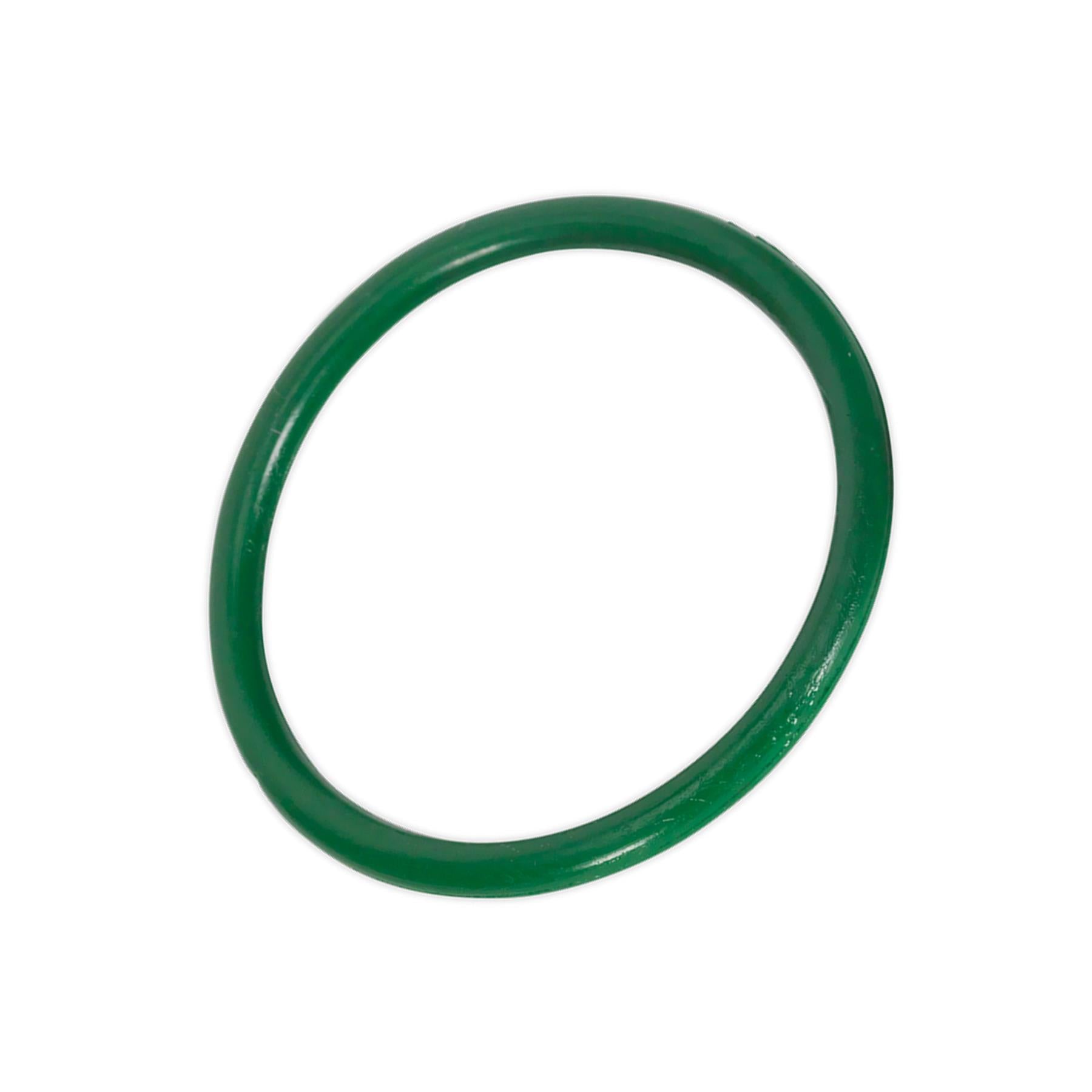 Sealey Viton® Seal Kit For Model No's SCSG02 & SCSG03