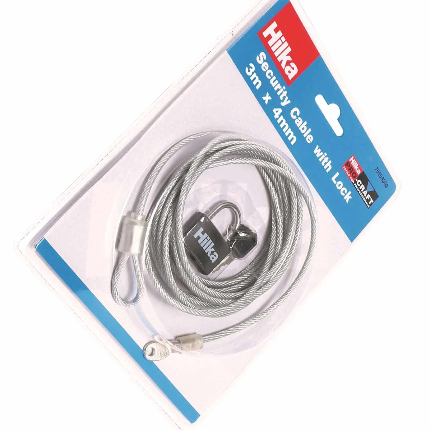 Security Cable with Lock