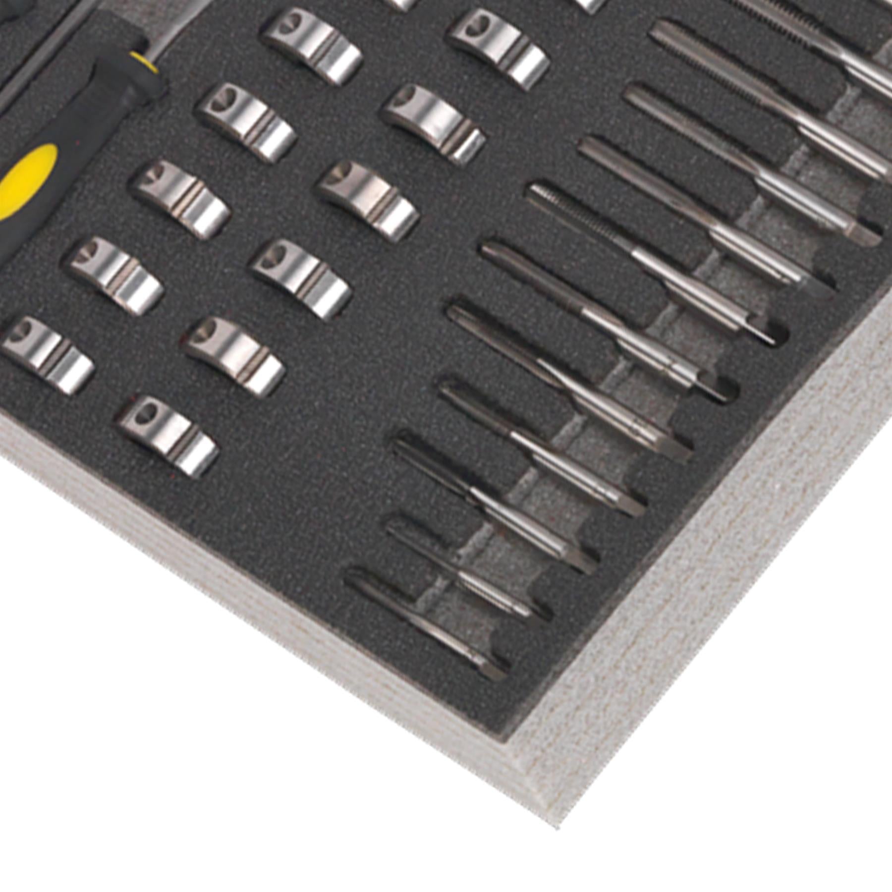 Sealey Tool Tray with Tap & Die, File & Caliper Set 48pc