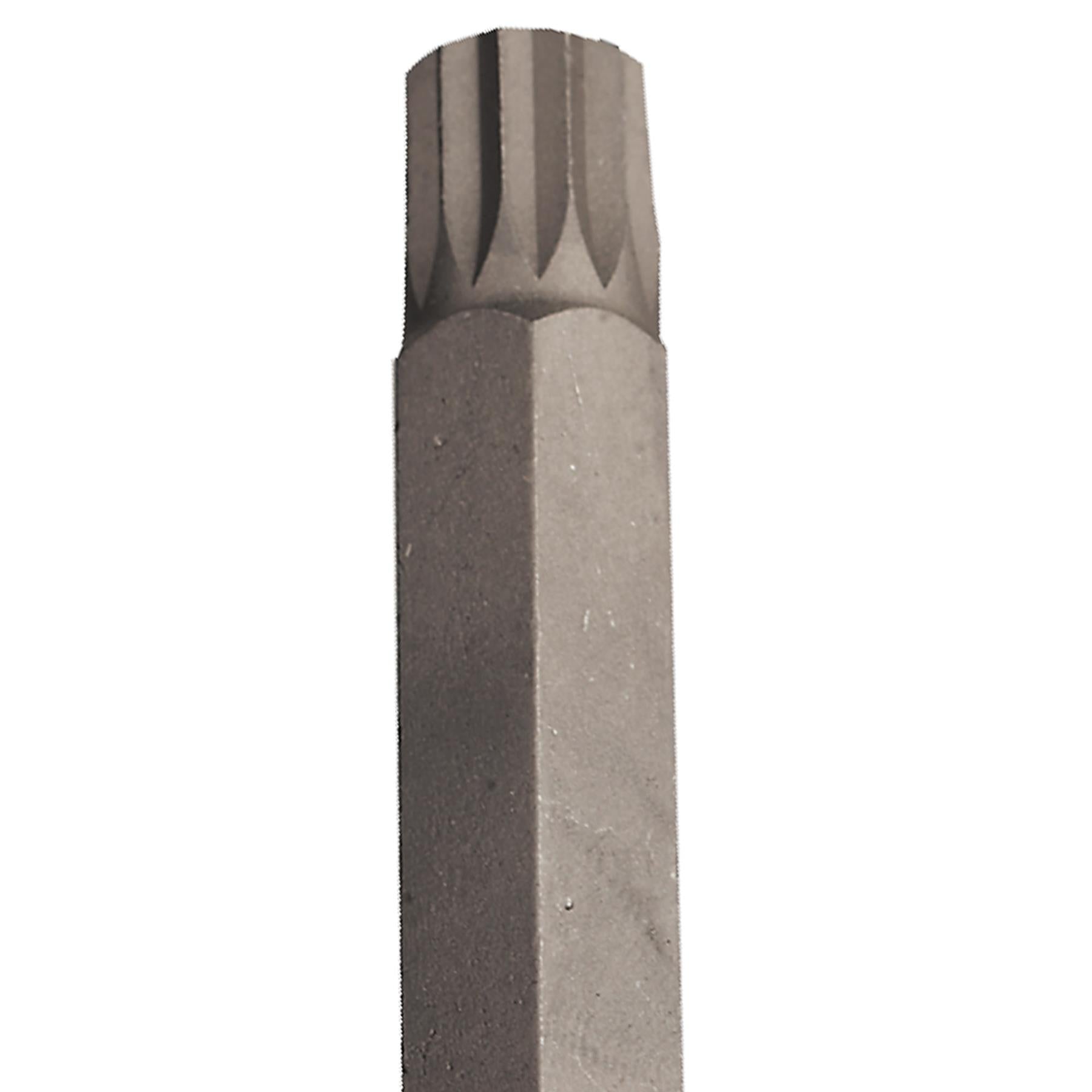Sealey Spline Socket Bit M14 Long 1/2"Sq Drive