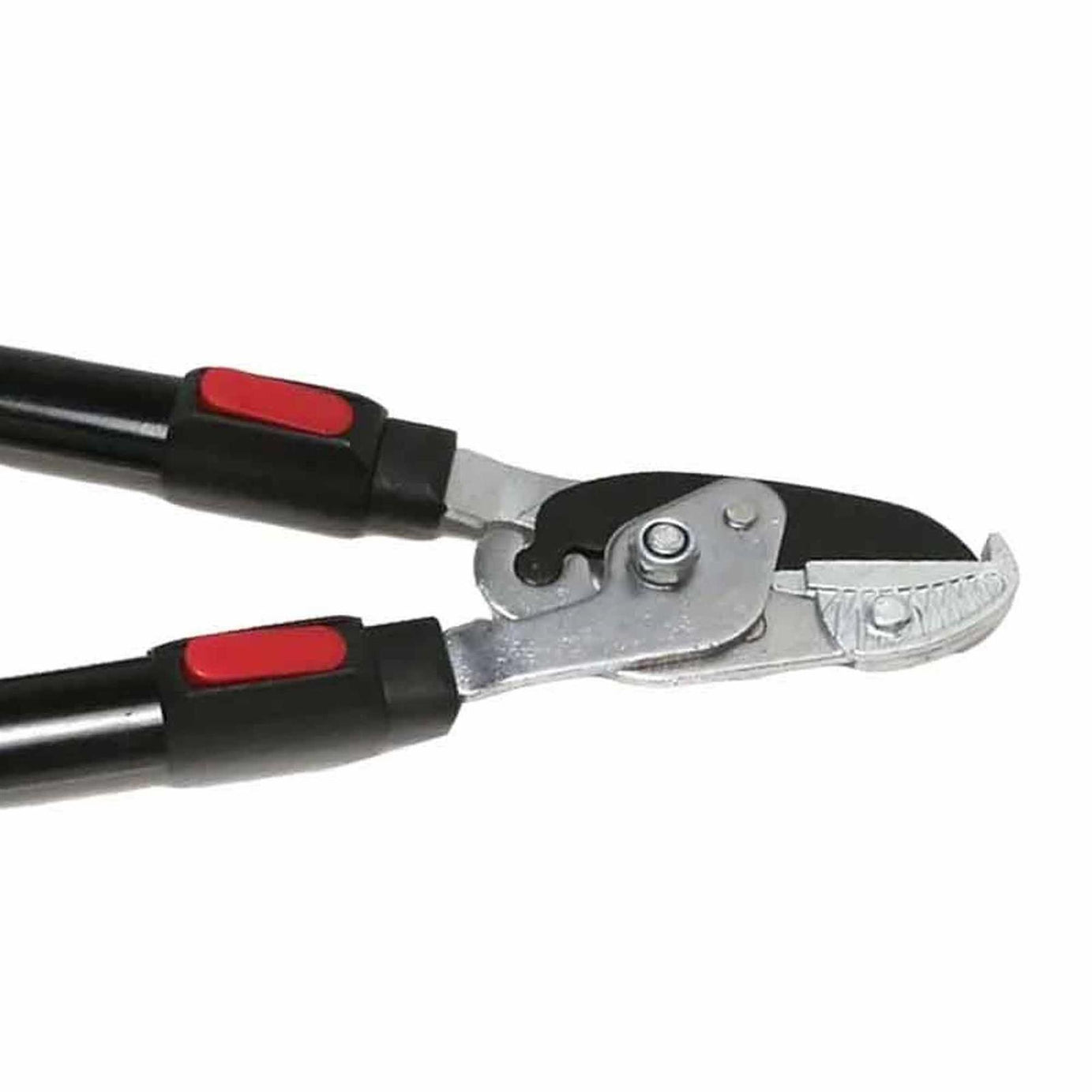 Heavy Duty Telescopic Anvil Loppers