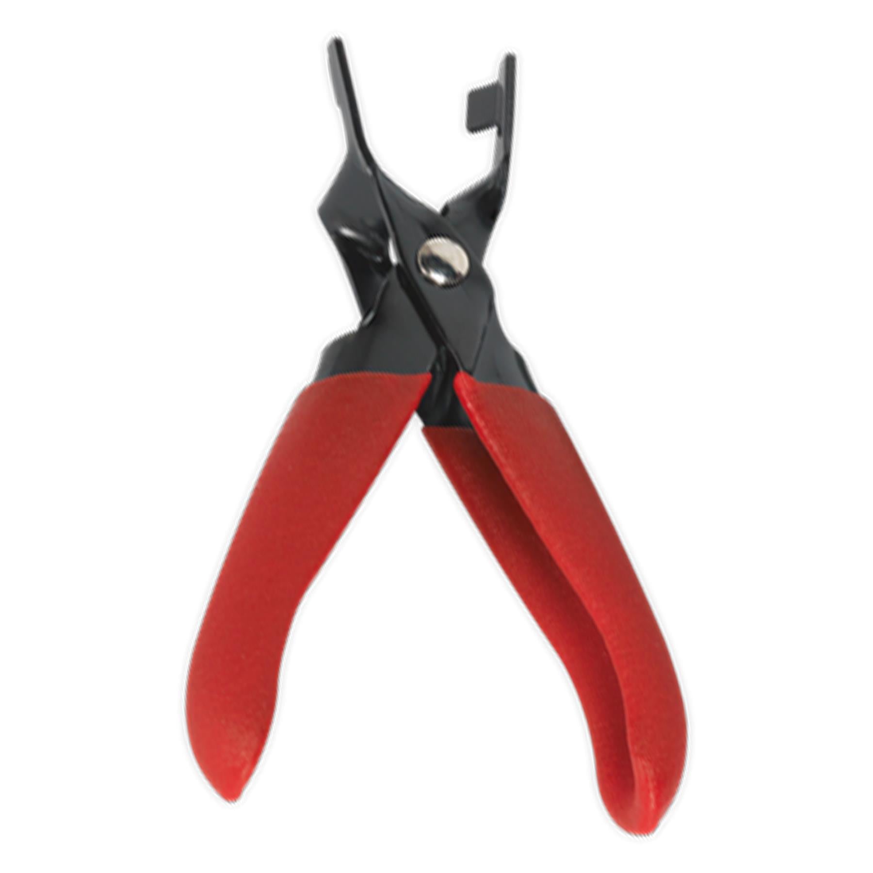 Sealey Fuel Line Disconnection Set