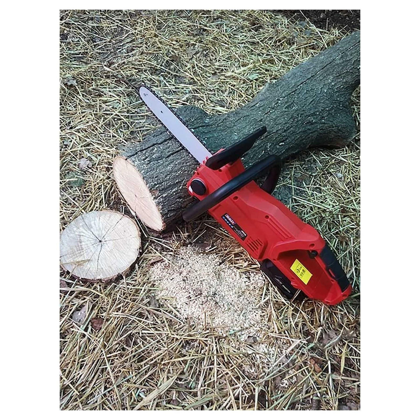 Sealey Cordless Chainsaw 20V SV20 Series 25cm - Body Only